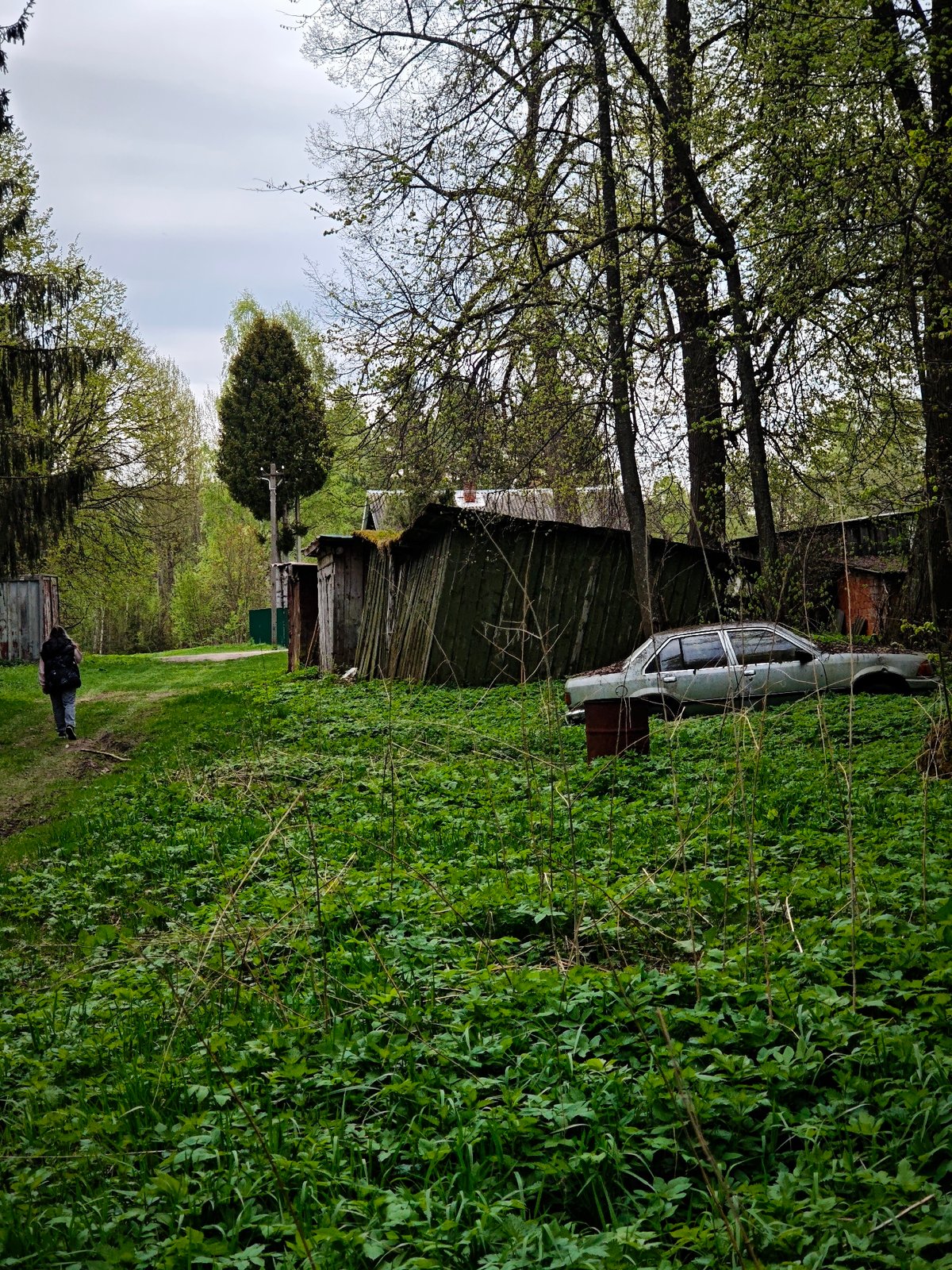 Spring countryside documentation recorded around Spas-Ugol, Russia