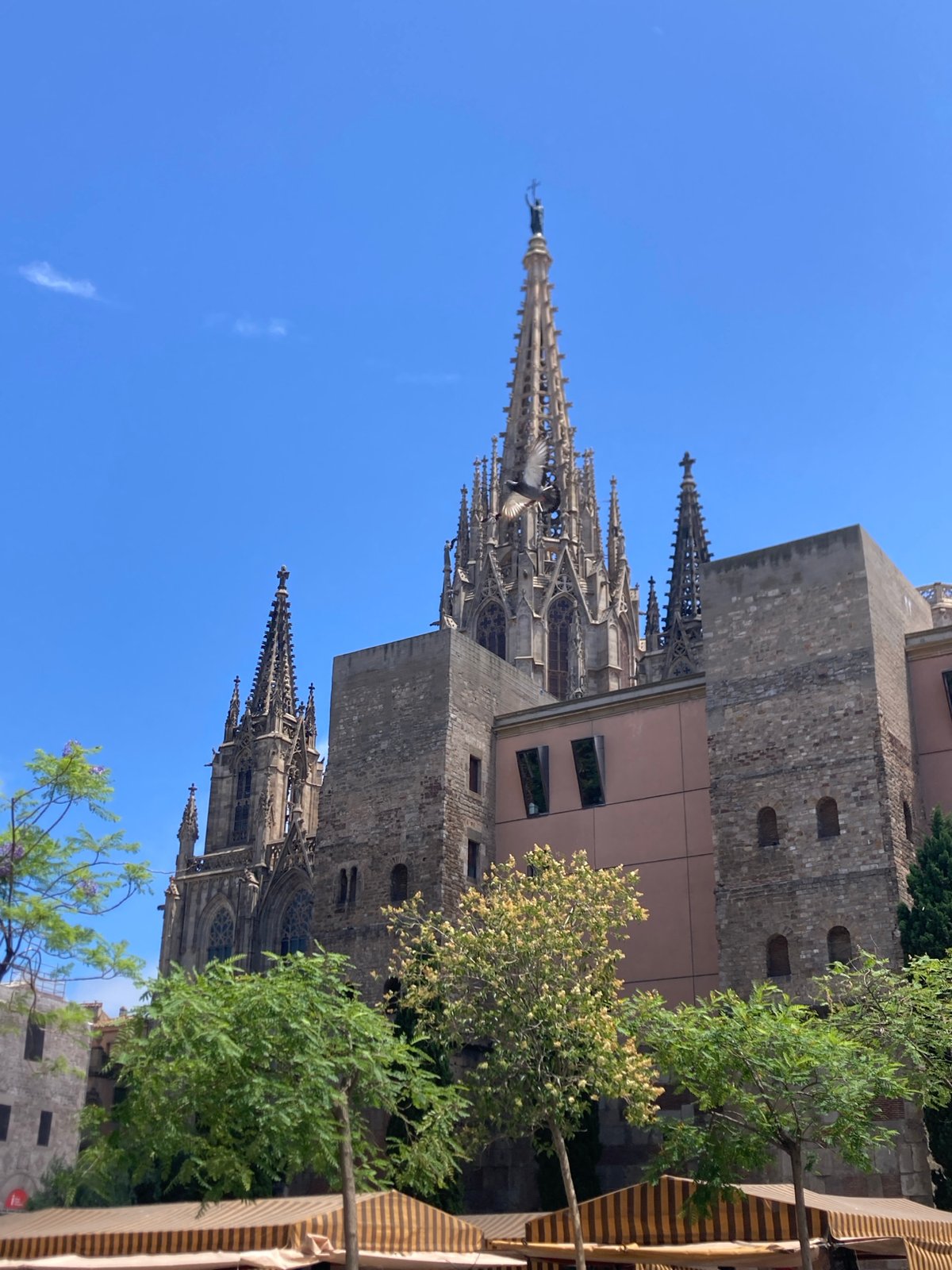 Wandering Barcelona's Gothic Quarter: markets, murals, and architecture