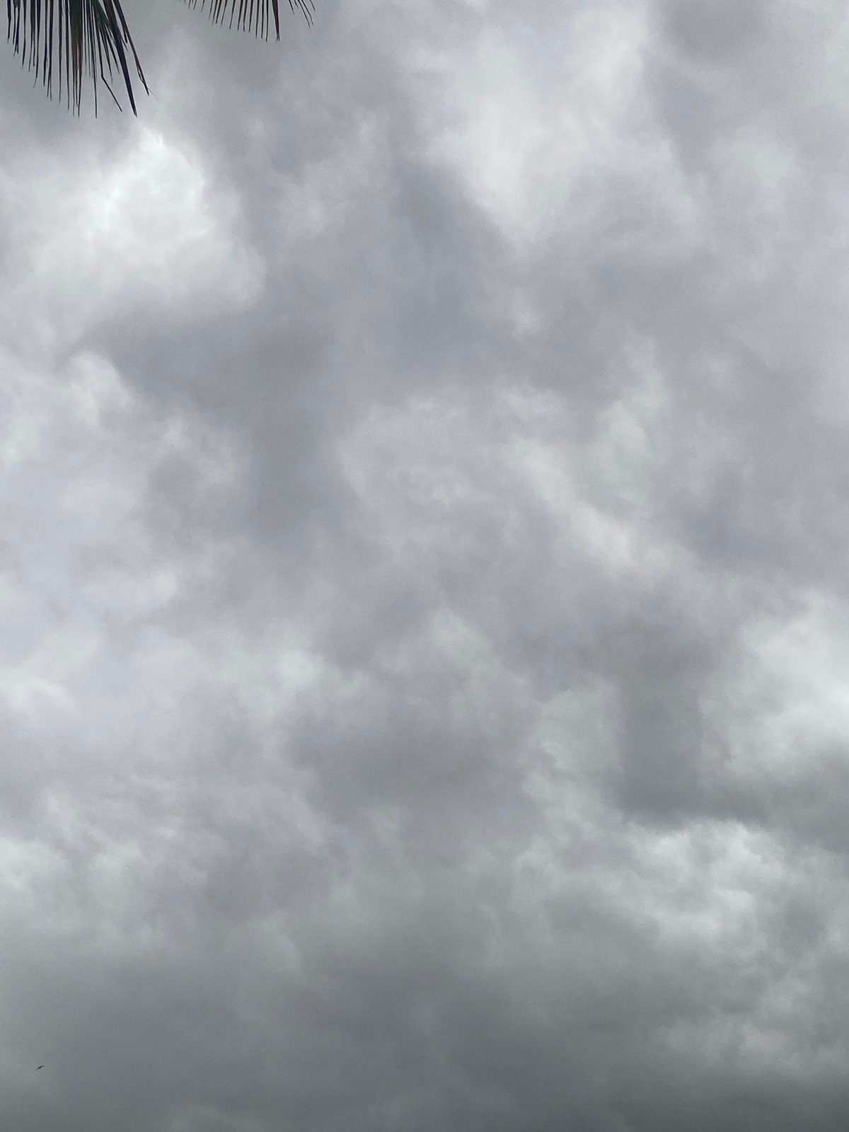 Stormy weather observed over Maigizo, Nigeria Monday morning
