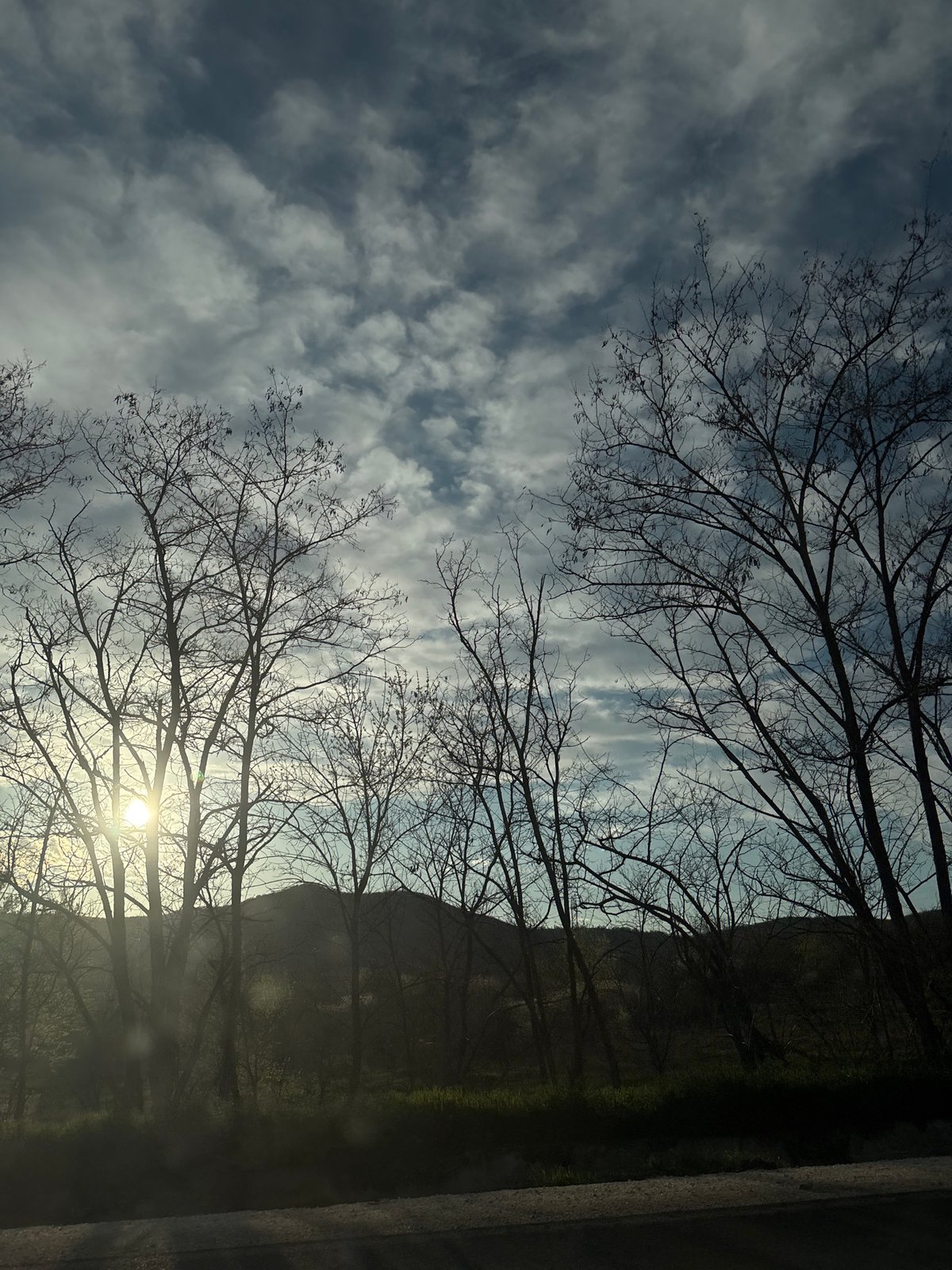 Spring afternoon sunlight through bare trees in Bulgaria