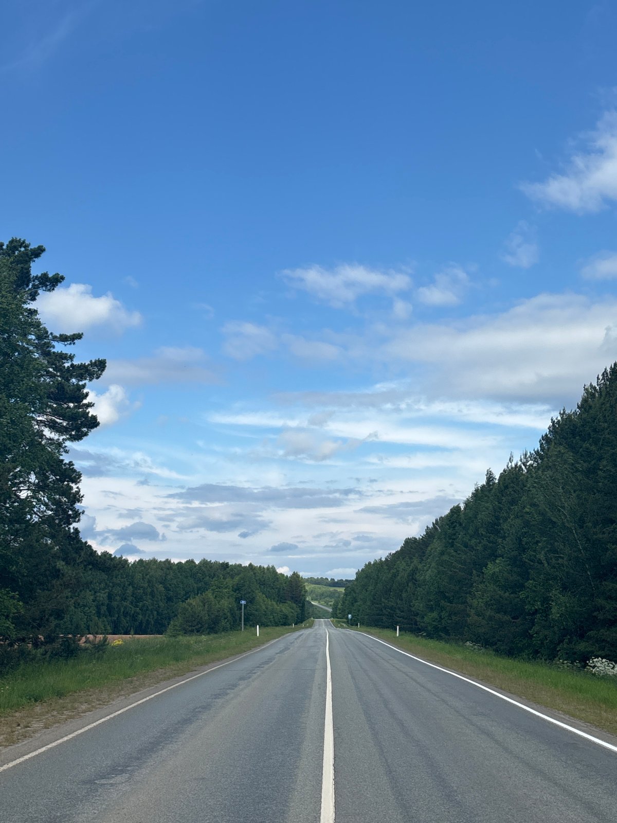 Vehicle travels forest road near Большая Уса, Russia