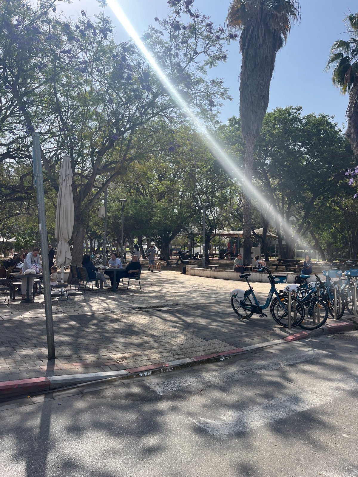 Morning street scene documented in Tel-Aviv