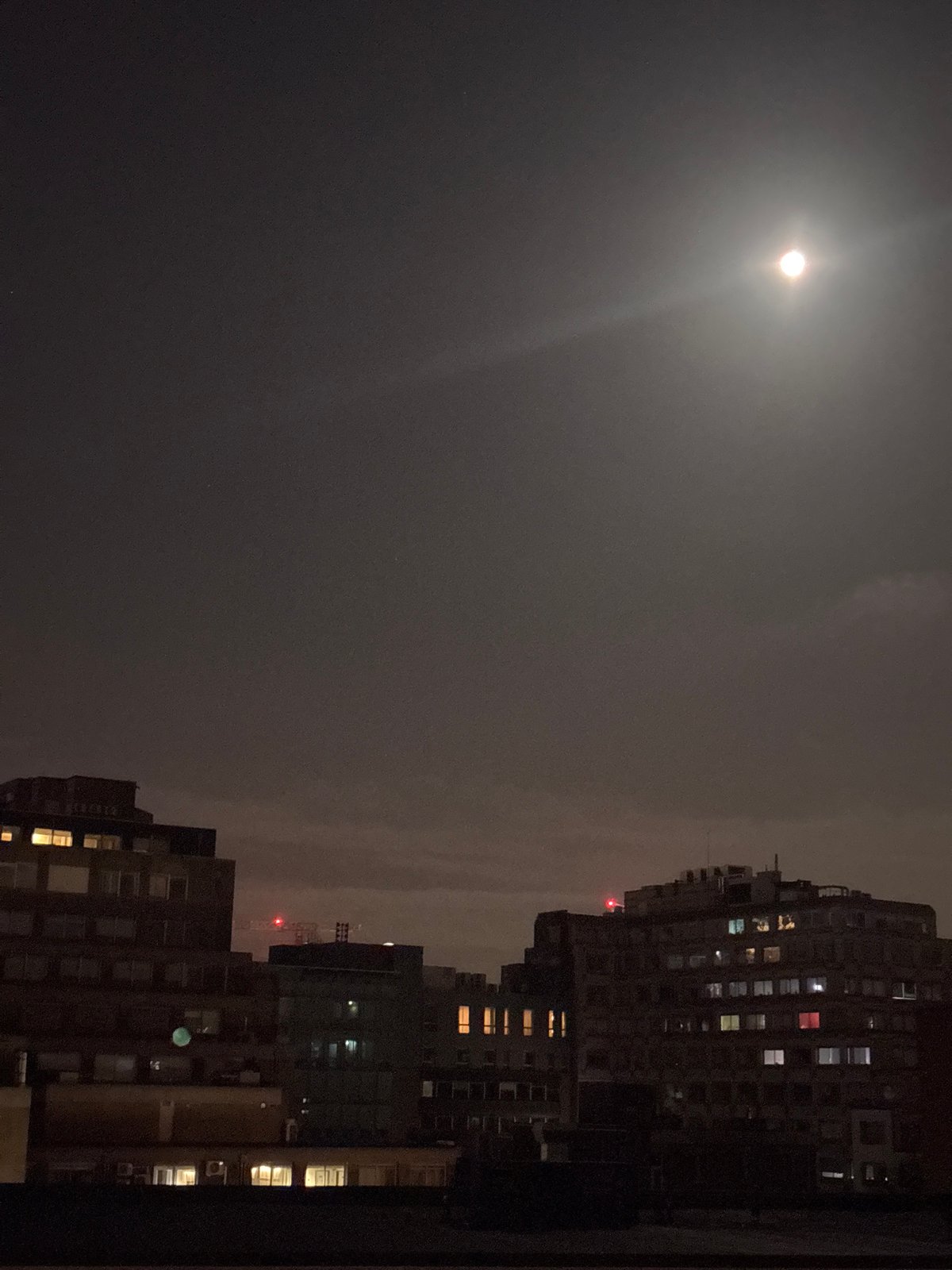 Evening scenes captured in Antwerp: moonlit cityscape, TV wildlife