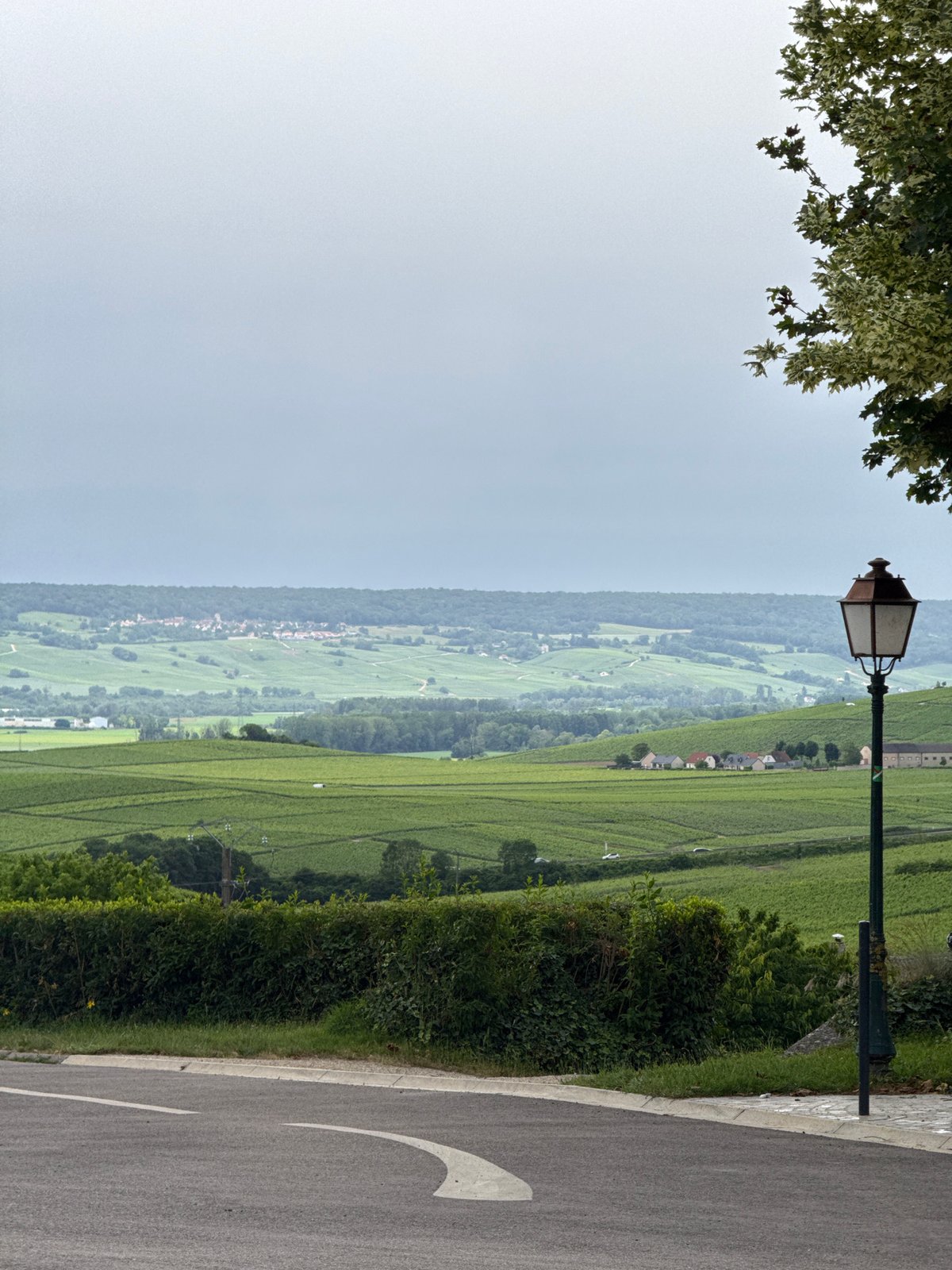 Witness documents Champillon vineyards and village in five-minute photography session