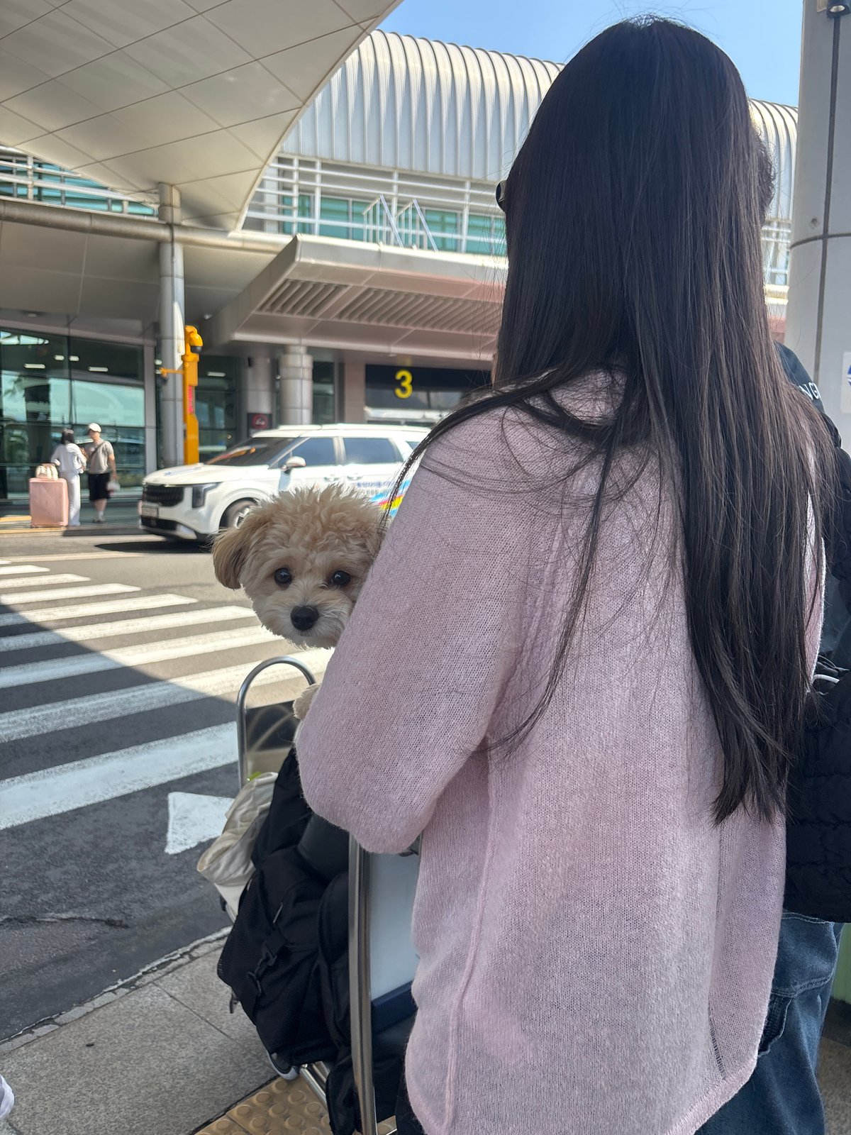 Departure day scenes from Jeju International Airport