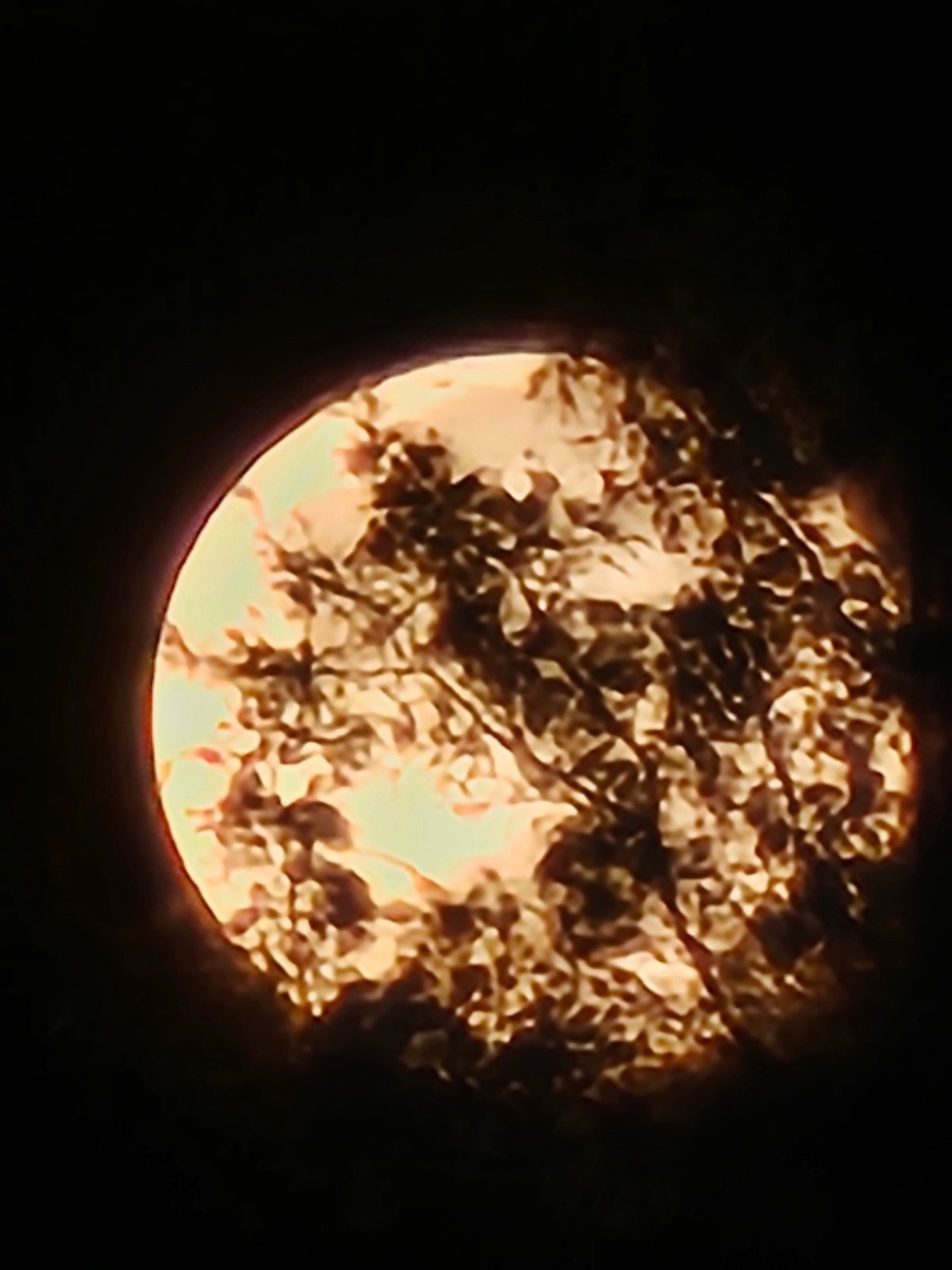 Full moon observed over Denpasar coast during evening hours