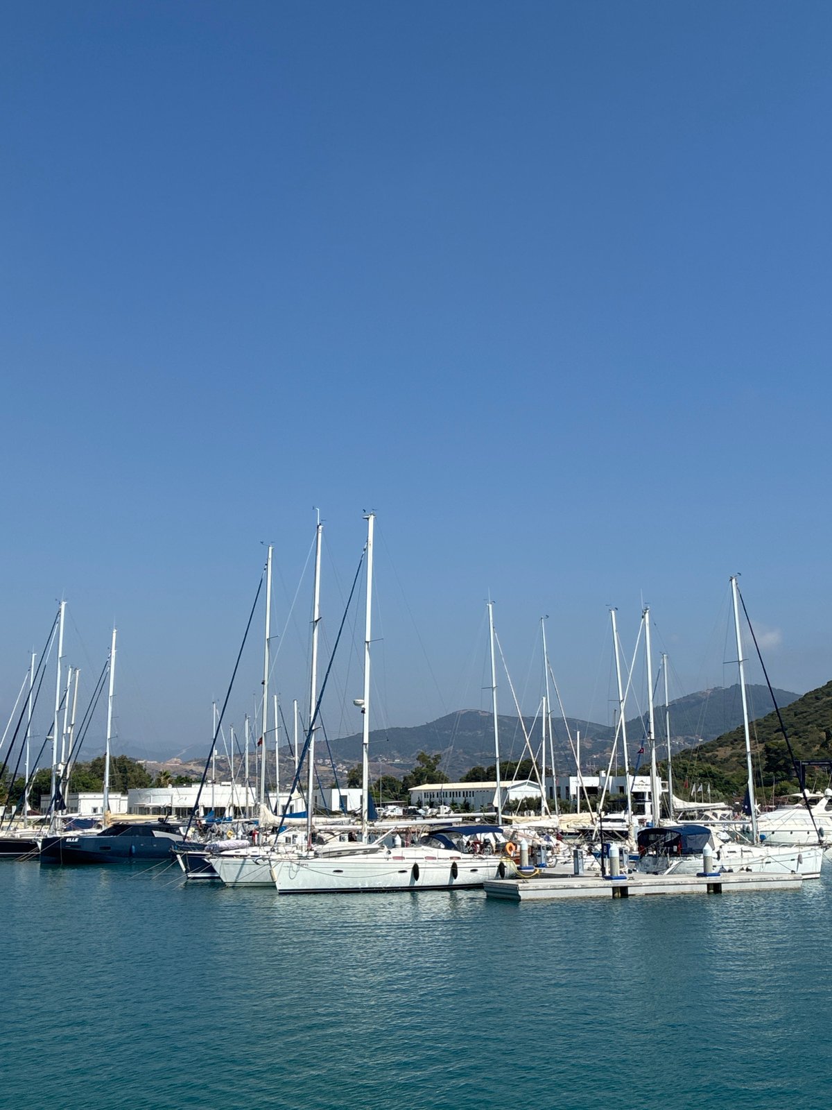 Gazipaşa marina: sailboats and a tourist vessel on calm water