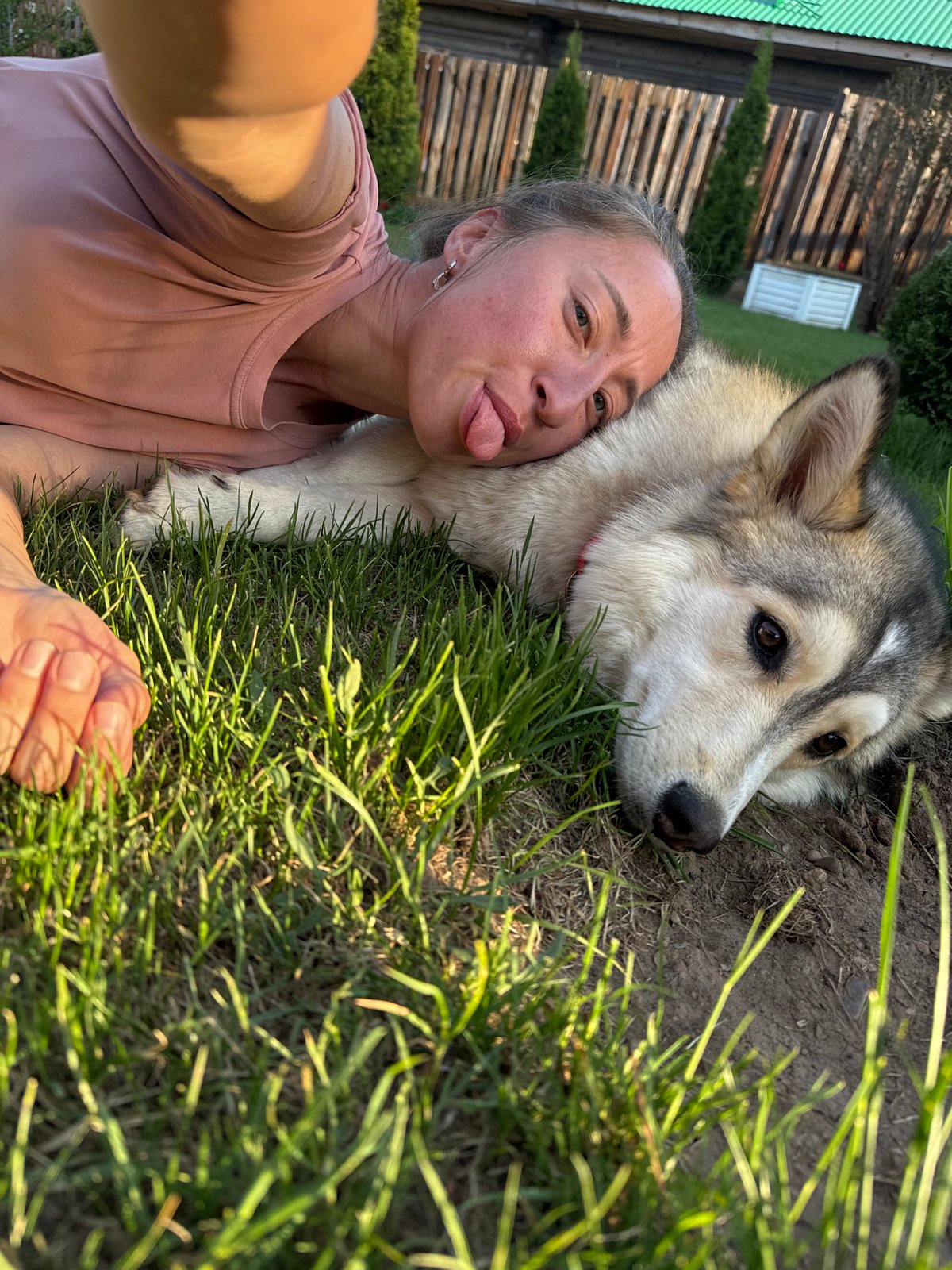 Woman relaxes with husky dog in Russian countryside garden