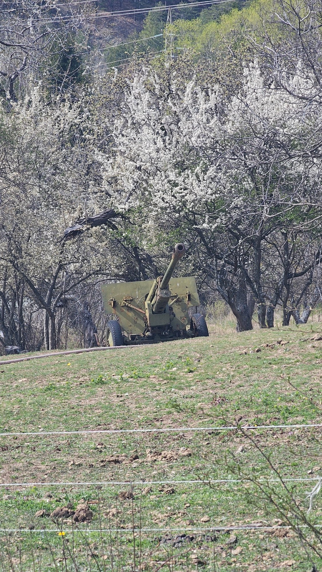 Historical military display and bird sculpture documented in Klisura