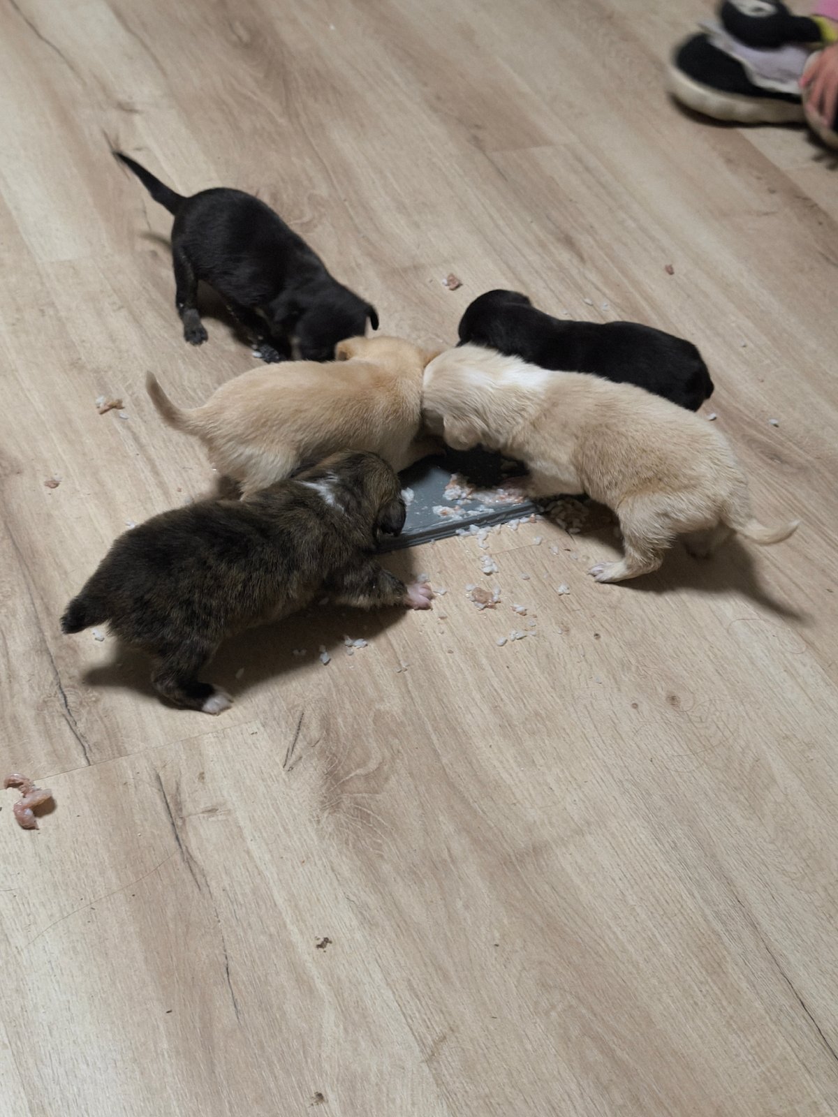 Sunset viewed from building window in Avren, Bulgaria