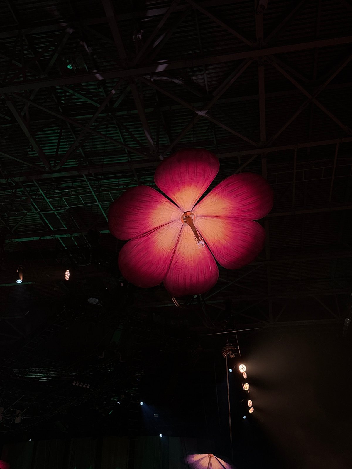 Theatrical performance with illuminated props draws crowds to Arena Sofia