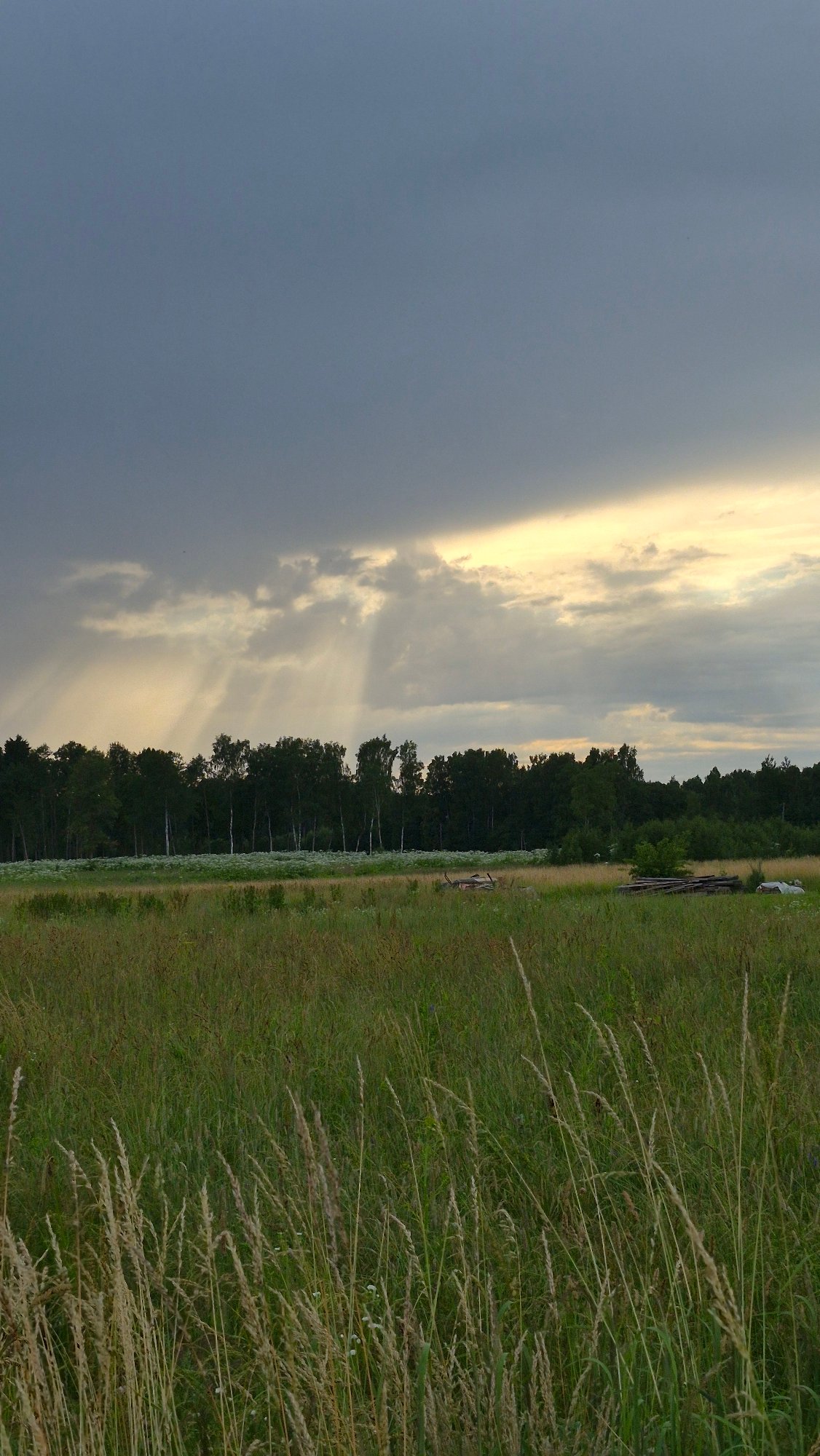 A quiet summer afternoon in rural Krauja, Latvia