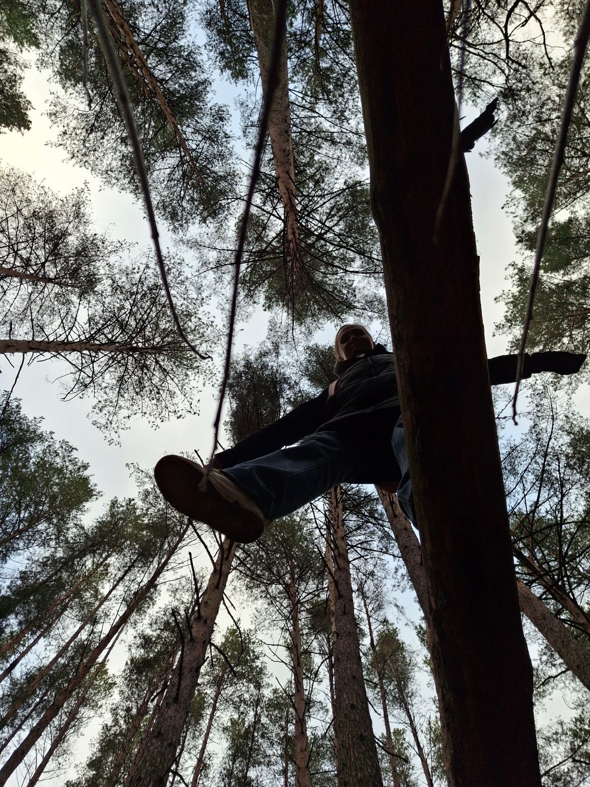 Woman explores pine forest in Chaikovsky, Russia