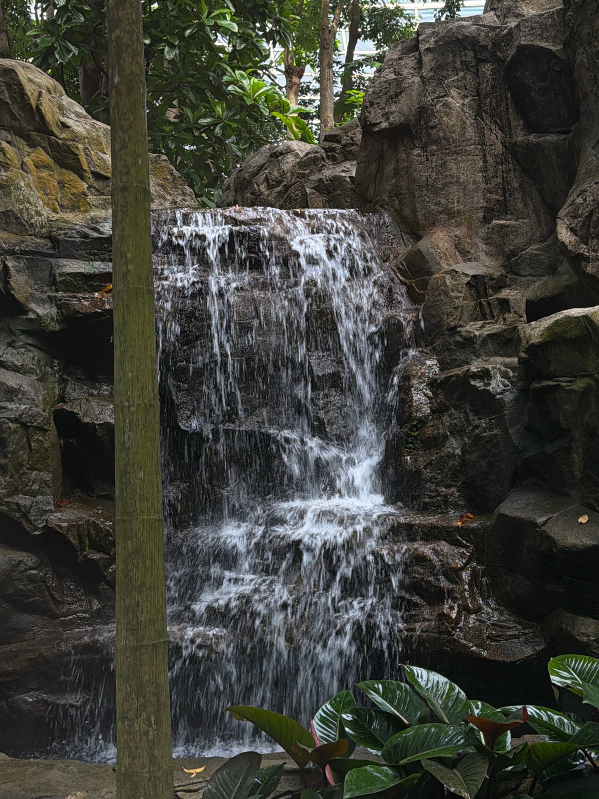 Exploring KLIA's terminal gardens, cafes, and tarmac views