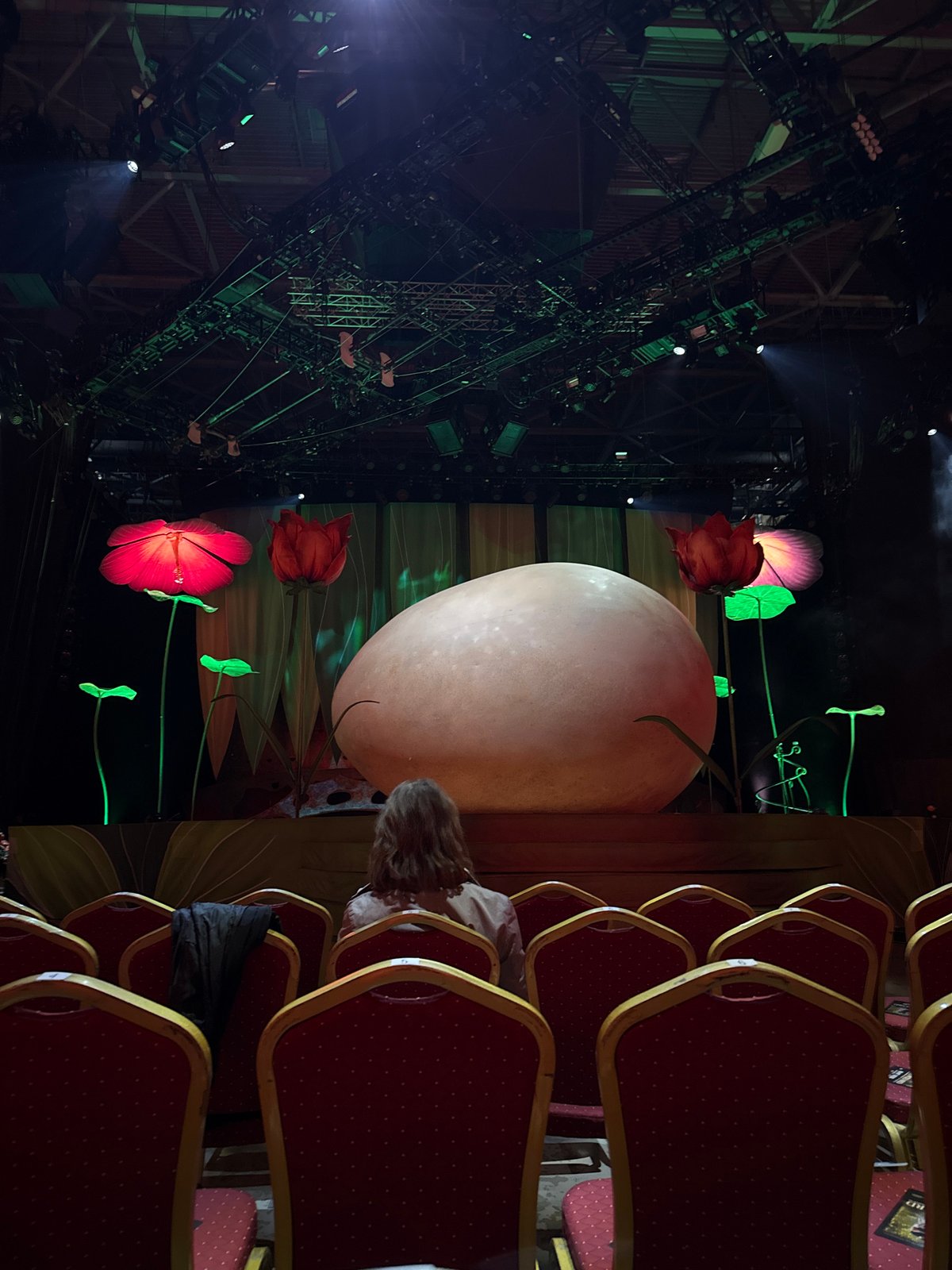 Attendee documents performance venue visit in Sofia auditorium