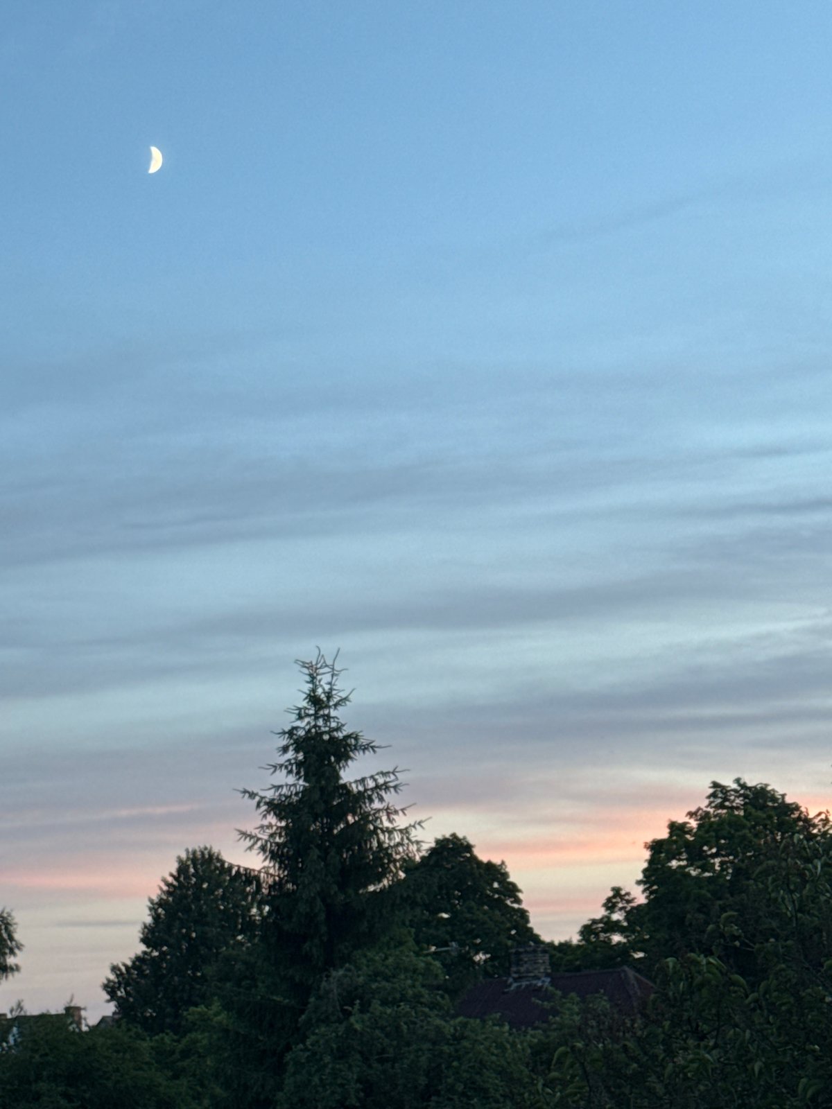 Pets and a crescent moon on a summer evening in Carnikava