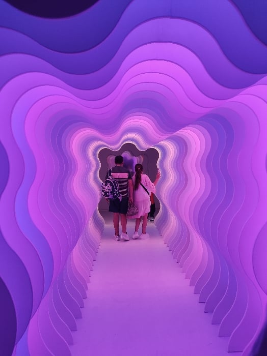 Interactive art installation draws visitors in Buenos Aires