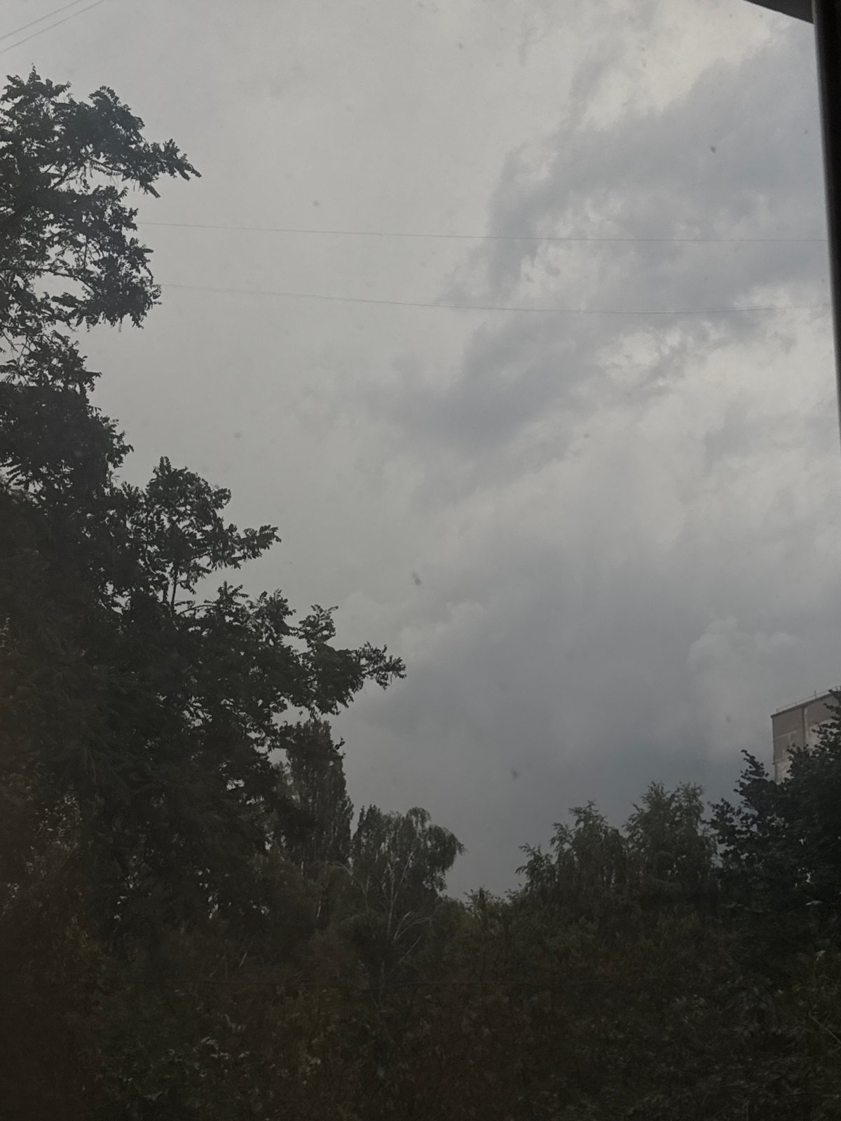 Overcast sky above dense trees and a building corner