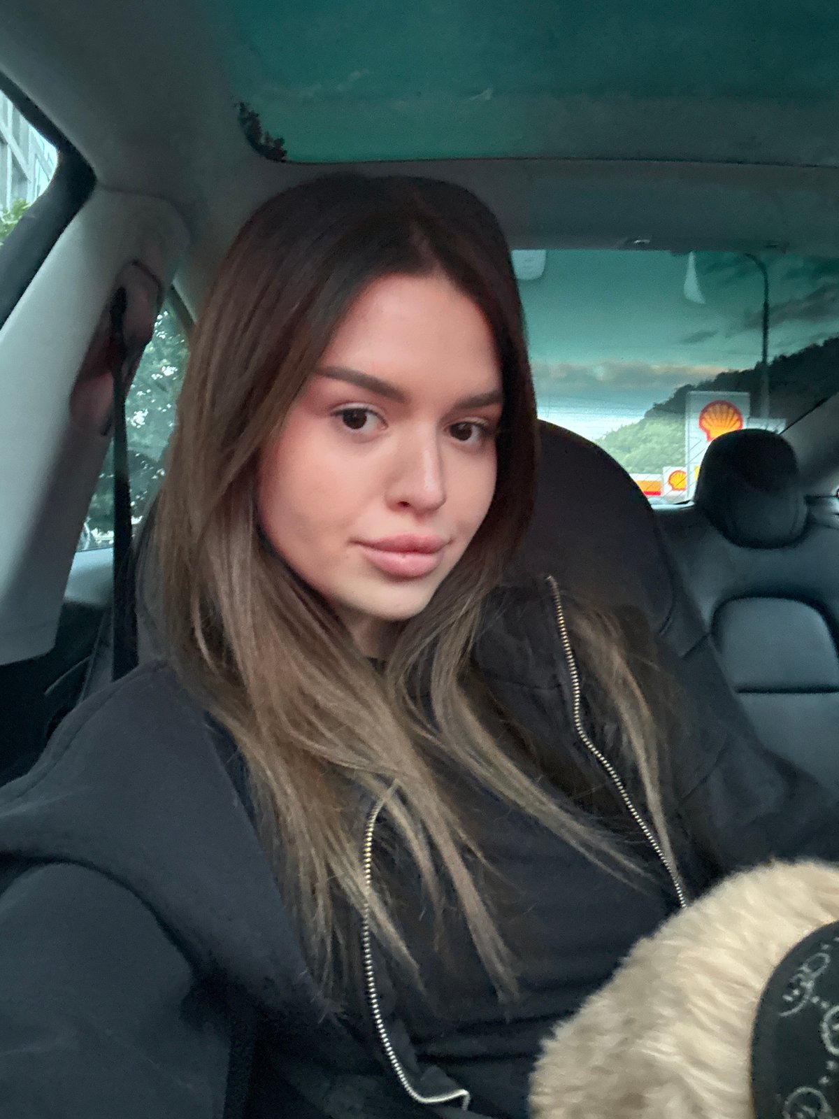 Car selfies and a small dog in Prague