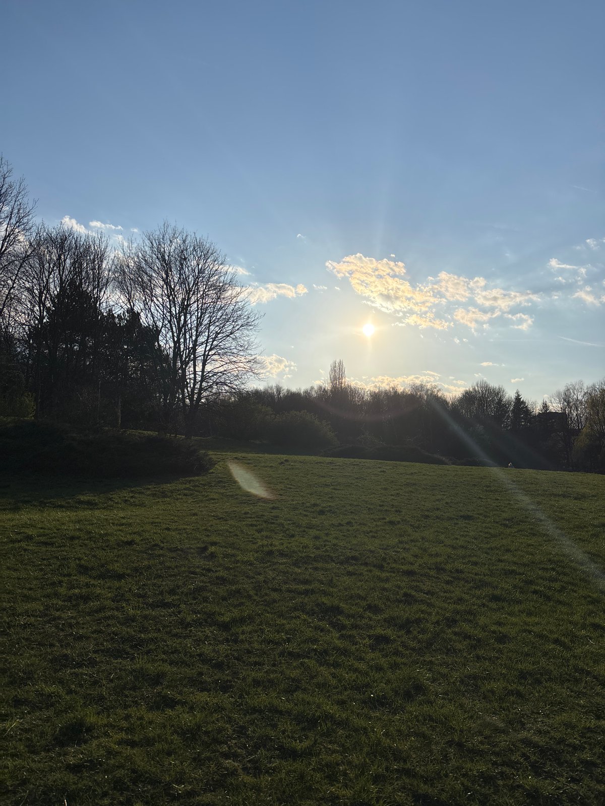Afternoon scenes documented across Sofia parks and streets