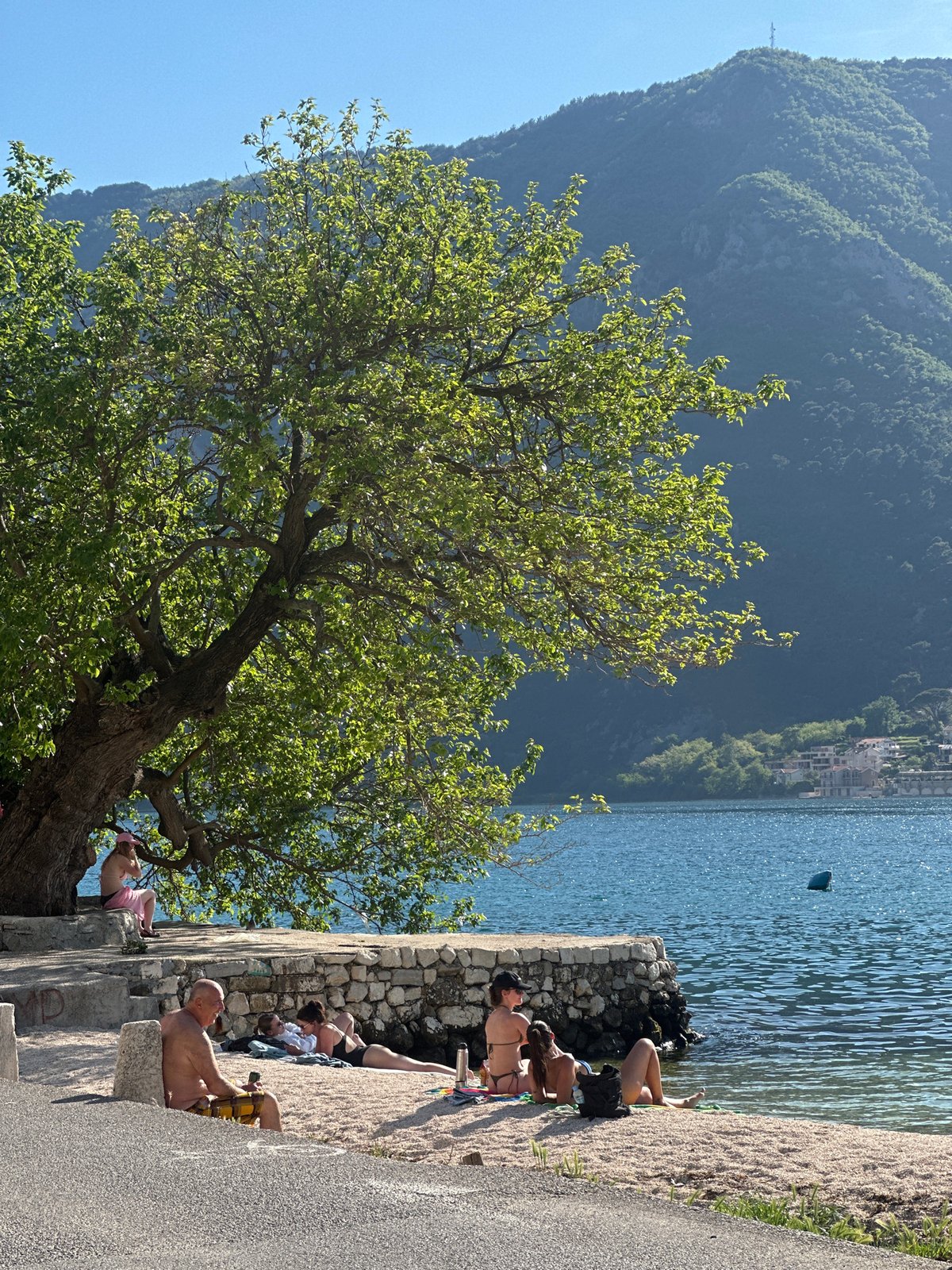 Sunny afternoon captured in coastal Dobrota, Montenegro waterfront scenes