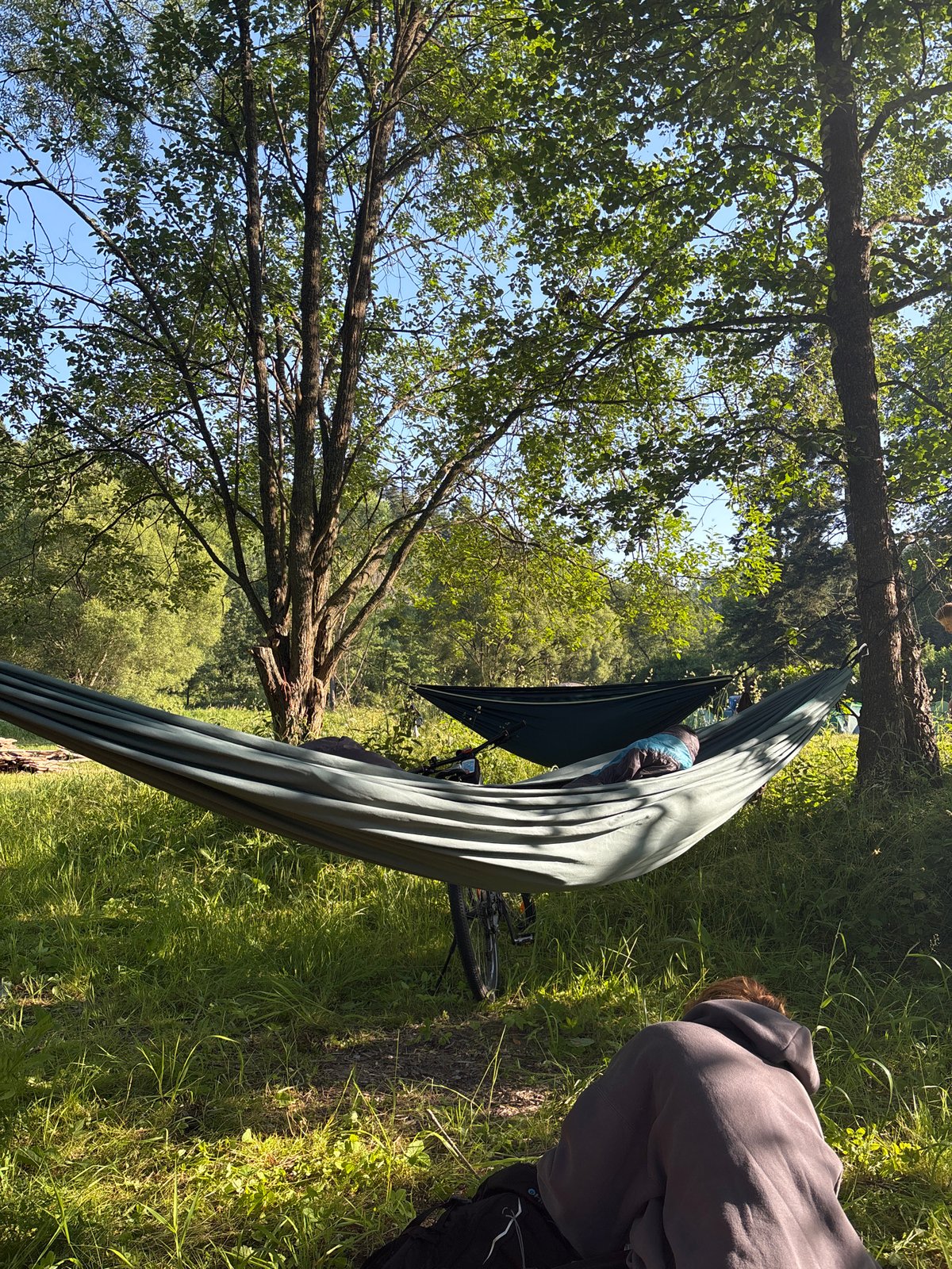 Morning hangout spot with hammocks in a Dvorce woodland clearing