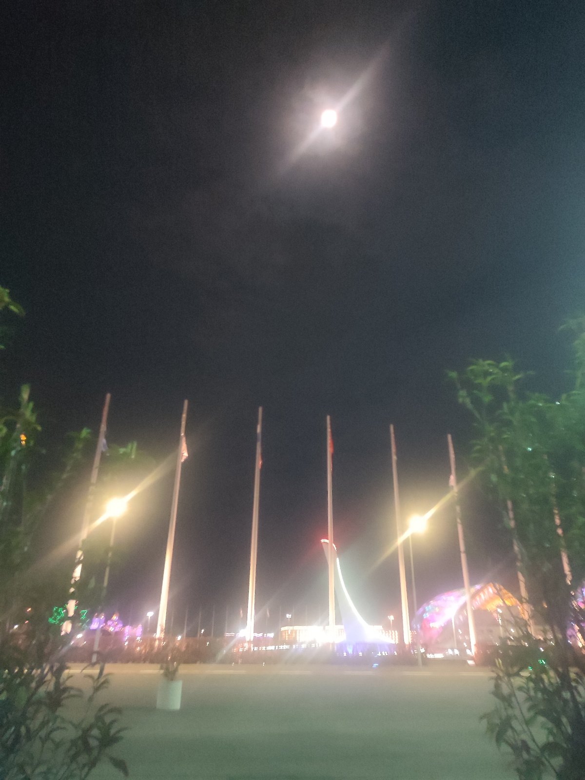 Evening visitors capture illuminated Olympic Park scenes in Sochi