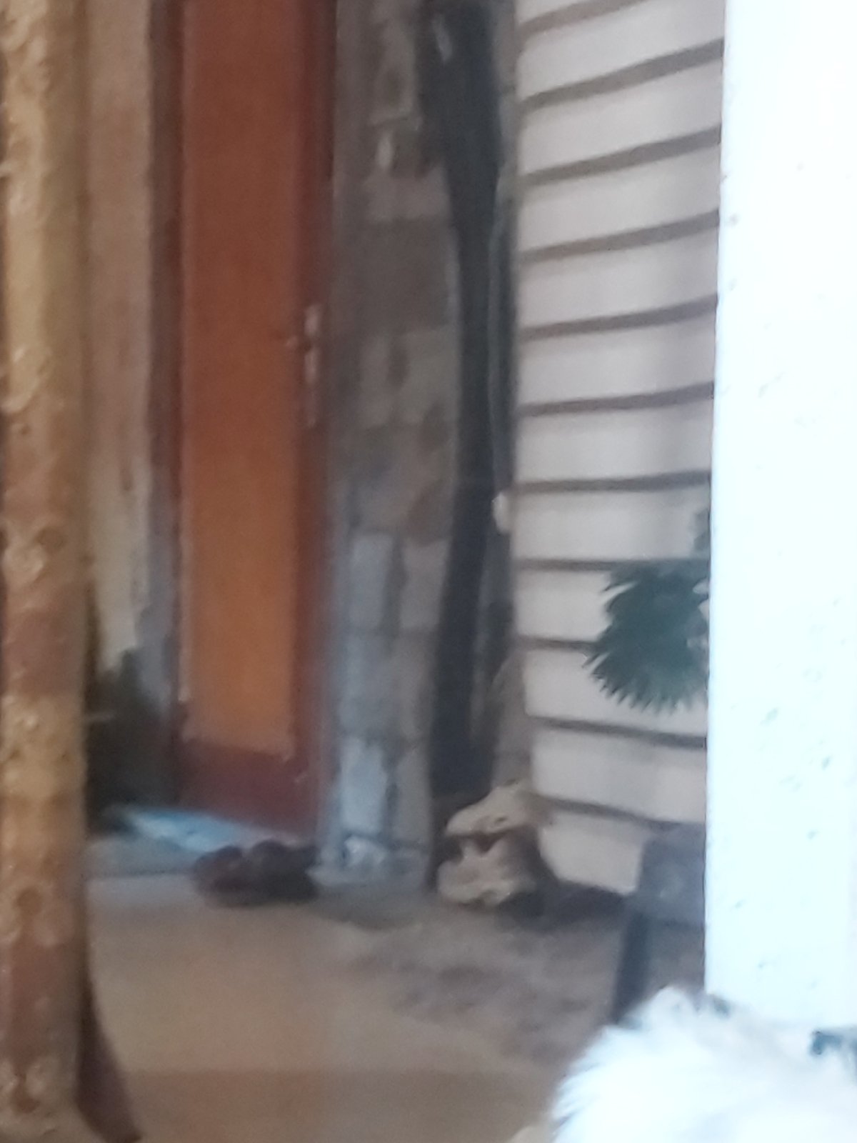 Everyday objects inside a damaged dwelling in Khan Yunis