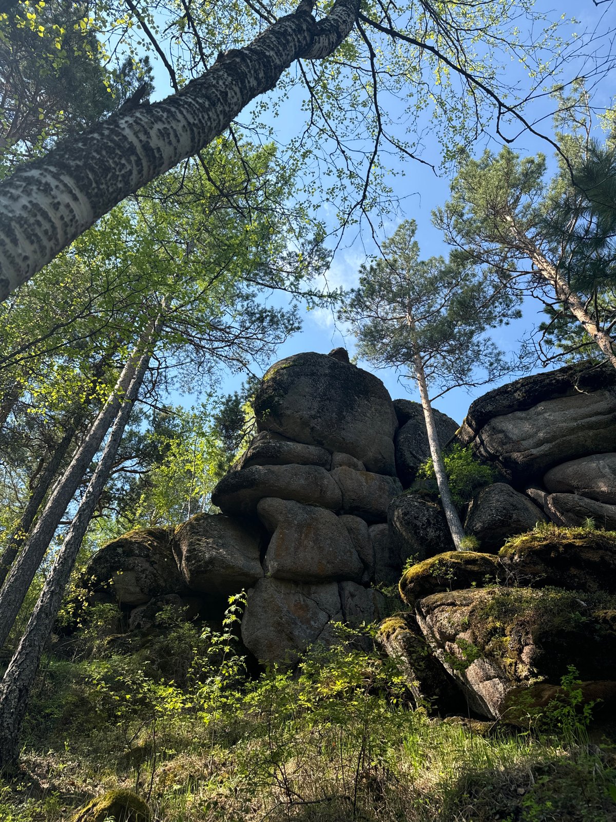 Hiker documents spring morning trek through Stolby Nature Reserve