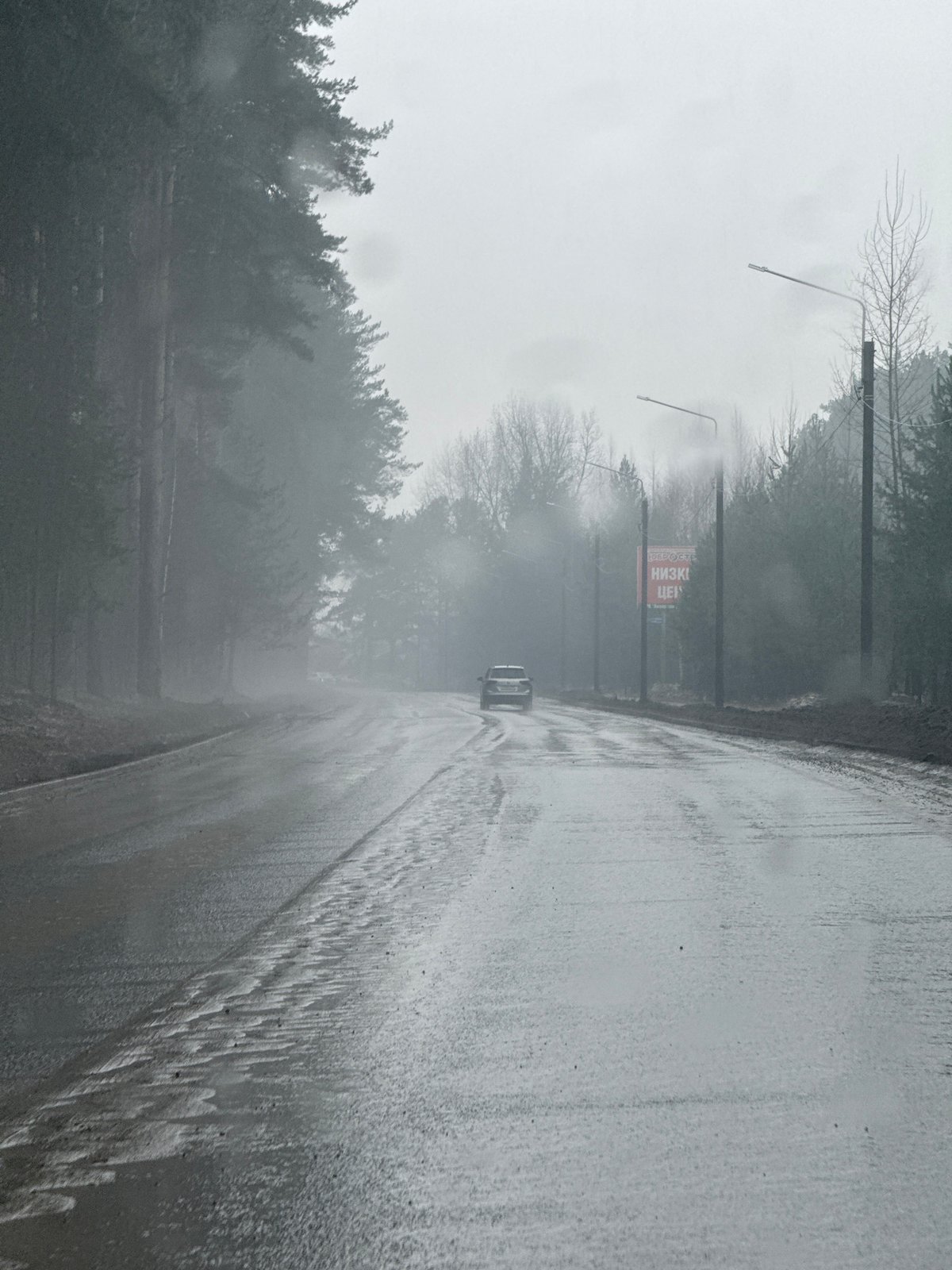 Foggy road conditions and playful moments captured in Chaikovsky