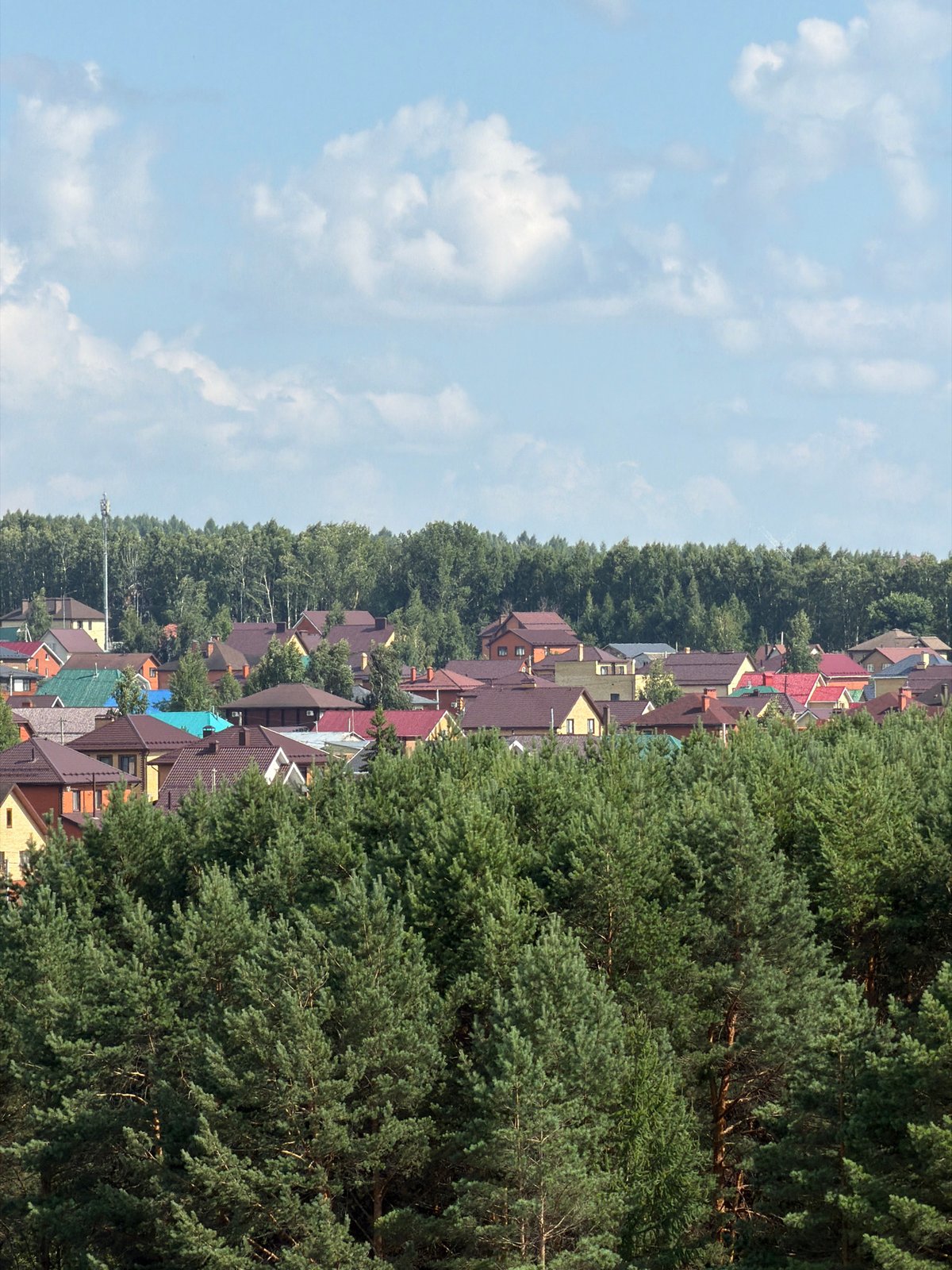 Russian suburb: forest canopy, apartment blocks, and delivery trucks