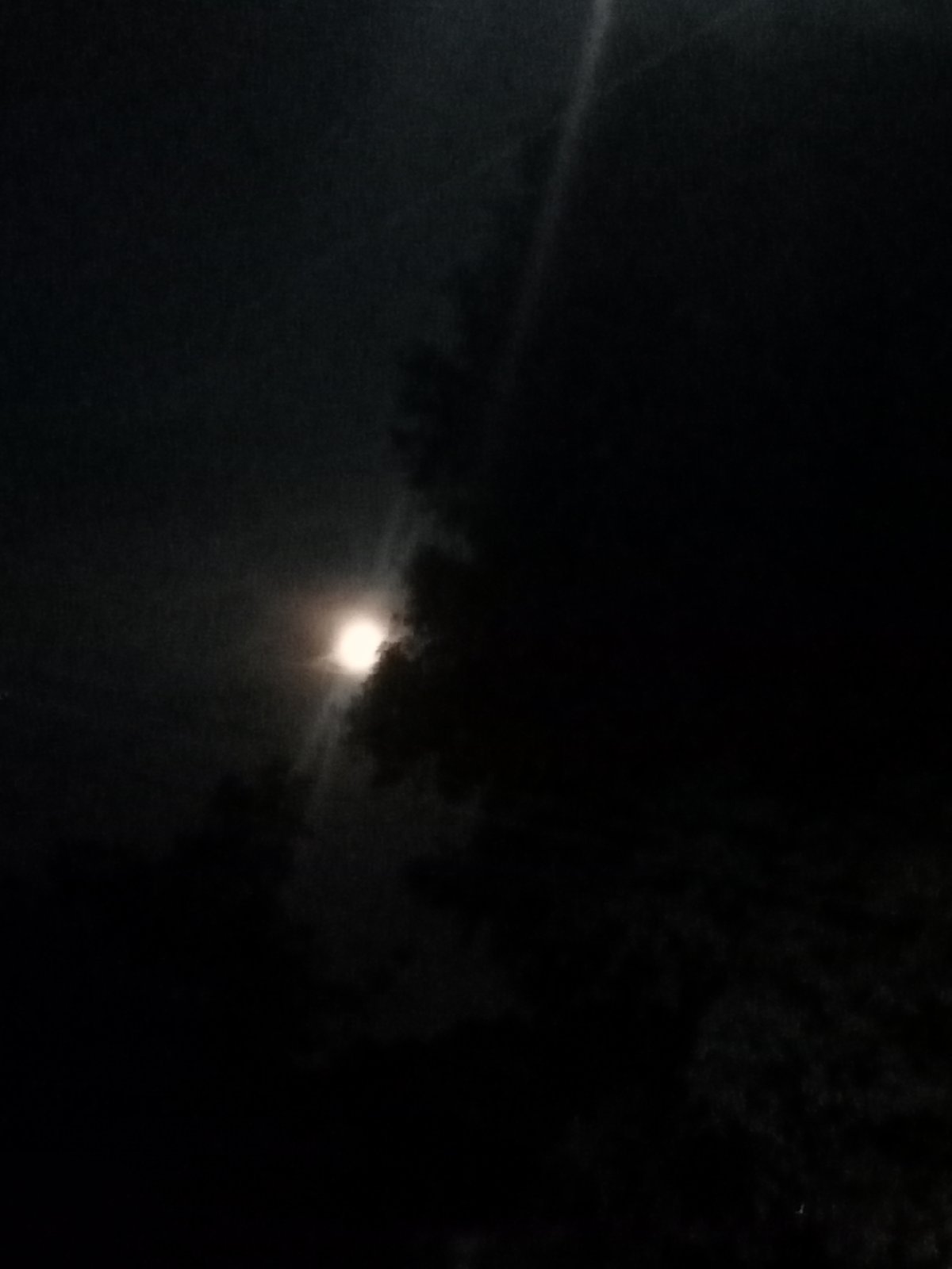Quiet urban night — streetlights, moon, and empty roads