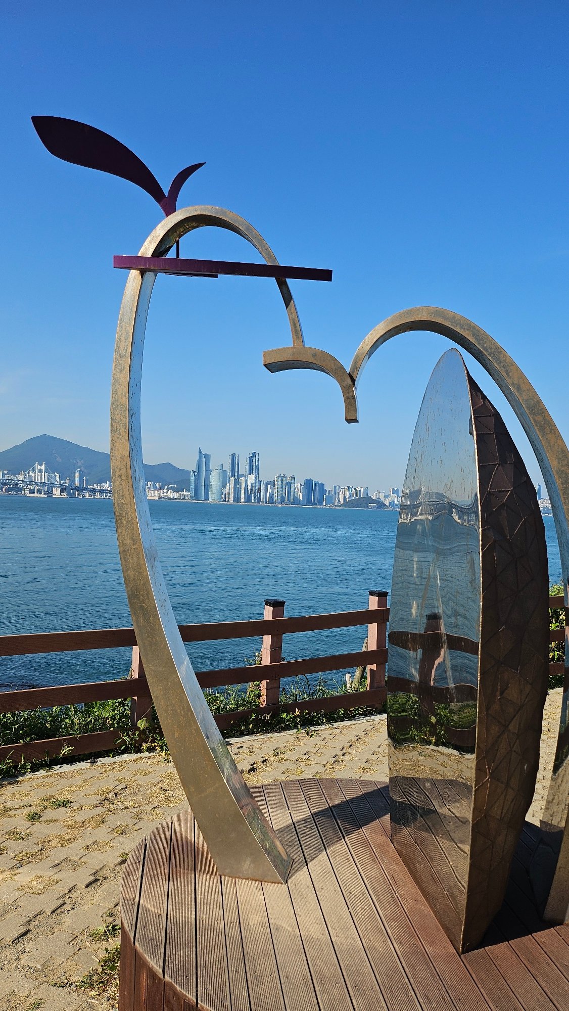 Morning observations capture Busan's scenic views and urban flora