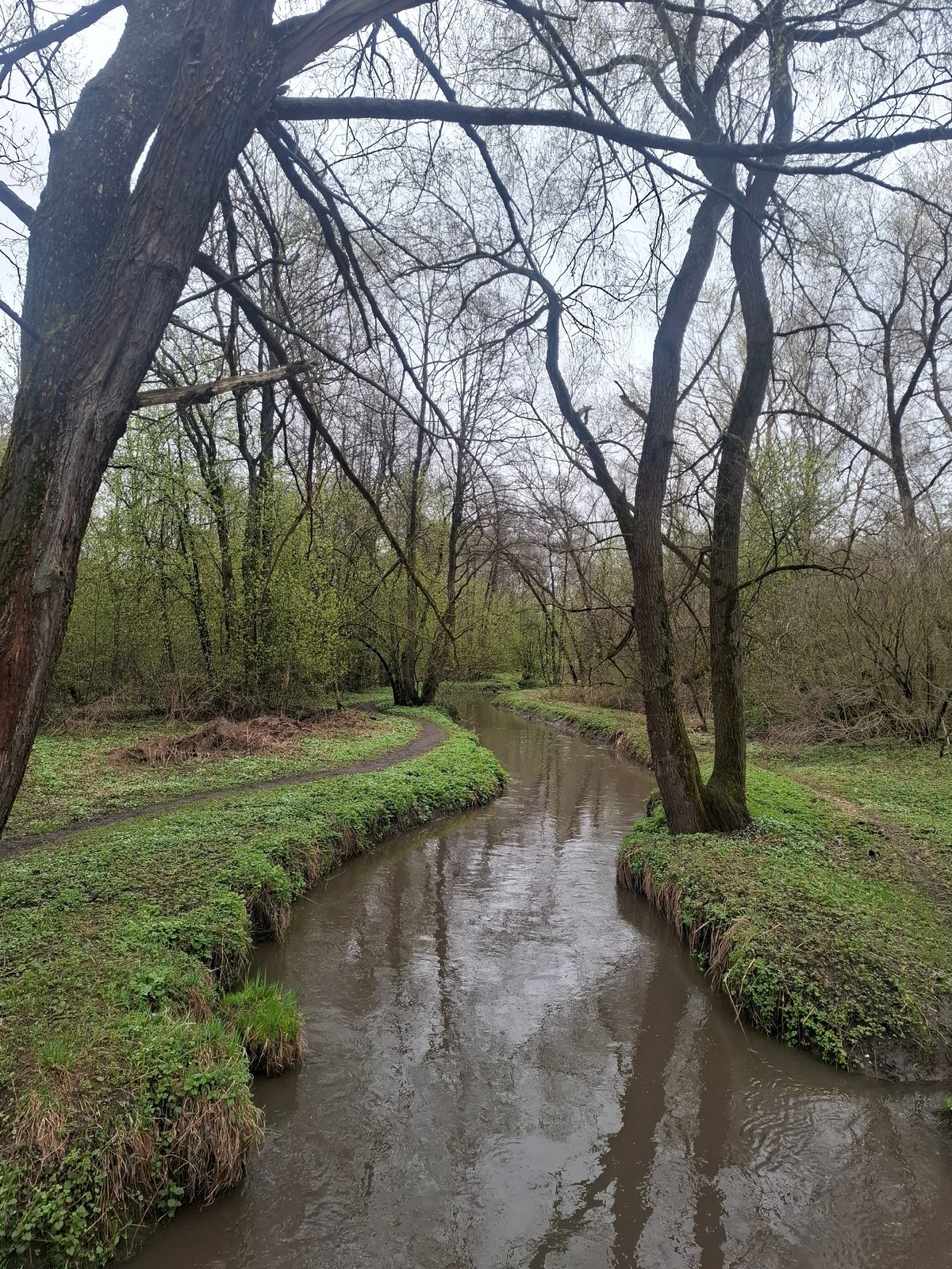 Moscow park scenes documented during overcast spring afternoon