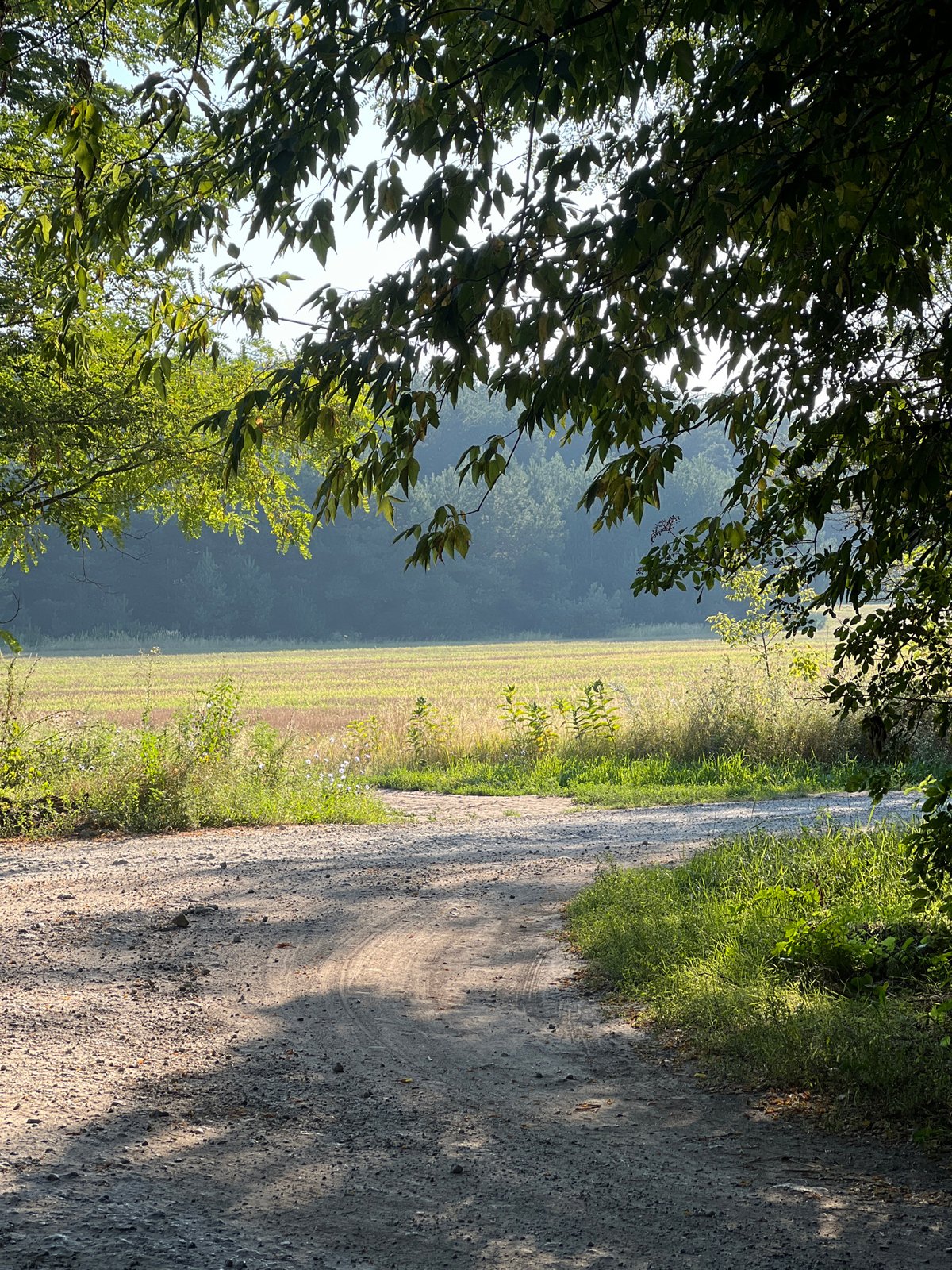 Selfie series on a shaded dirt road in natural light