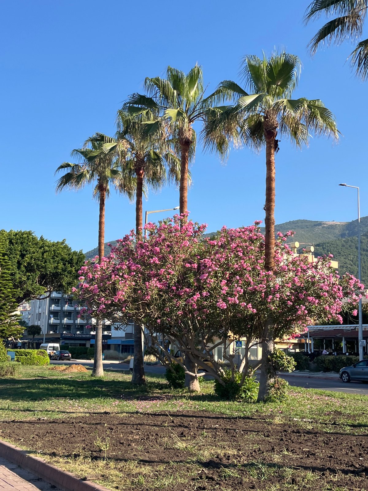 Early morning coastal scenes documented in Alanya, Turkey