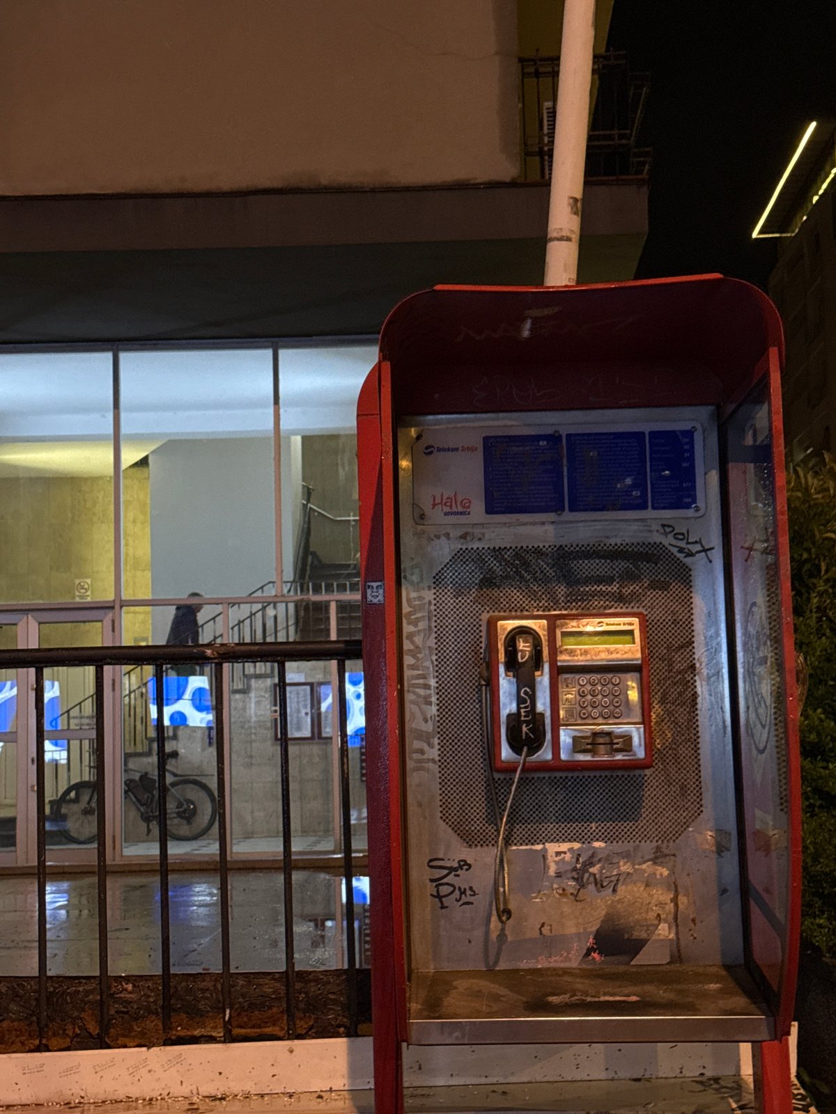 Evening street walk through Belgrade with dachshund companion