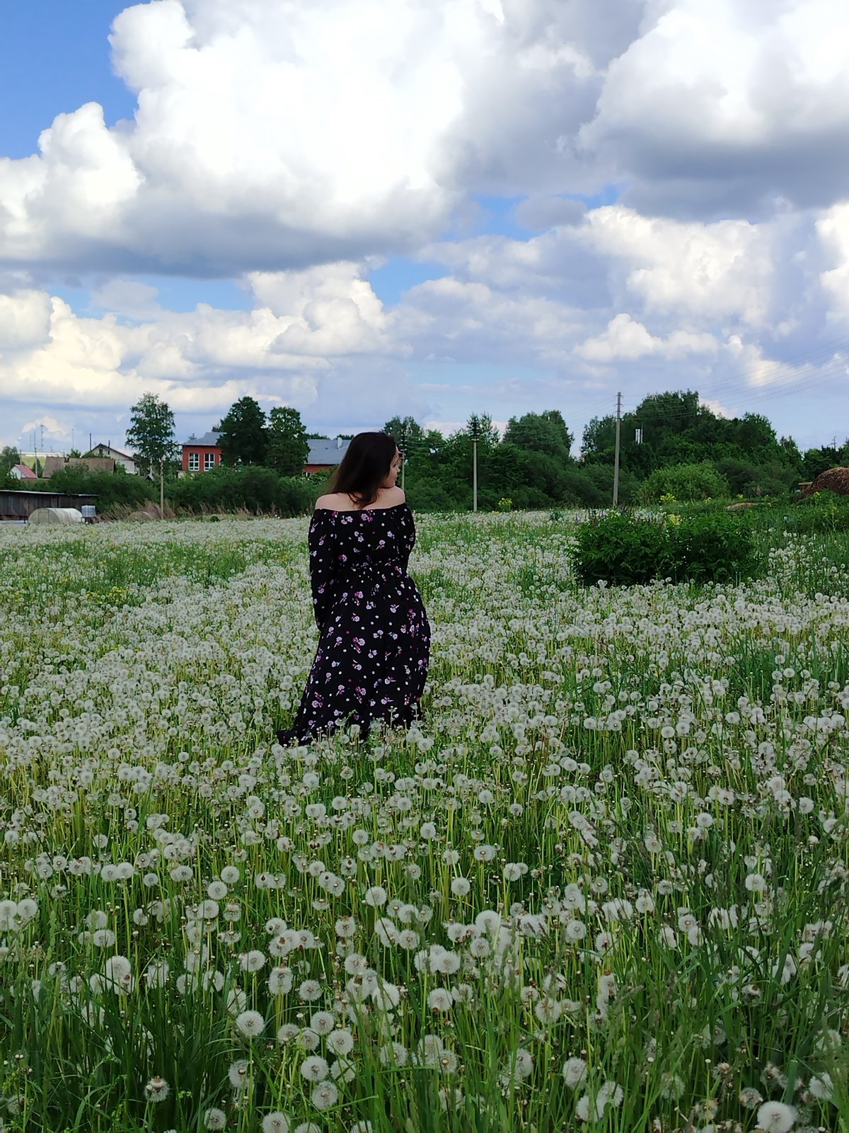 Woman poses in dandelion field in rural Russia