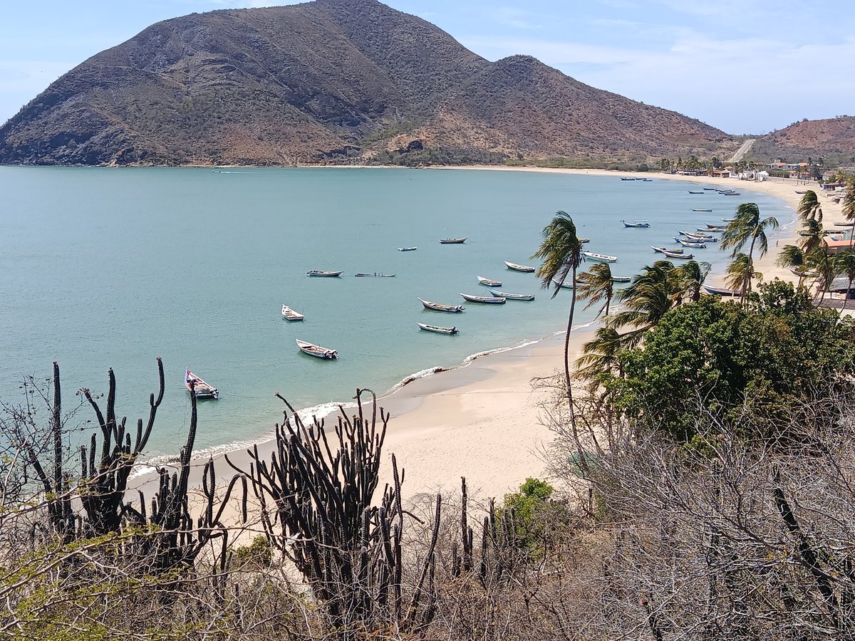 Coastal views of Juan Griego bay documented by witnesses