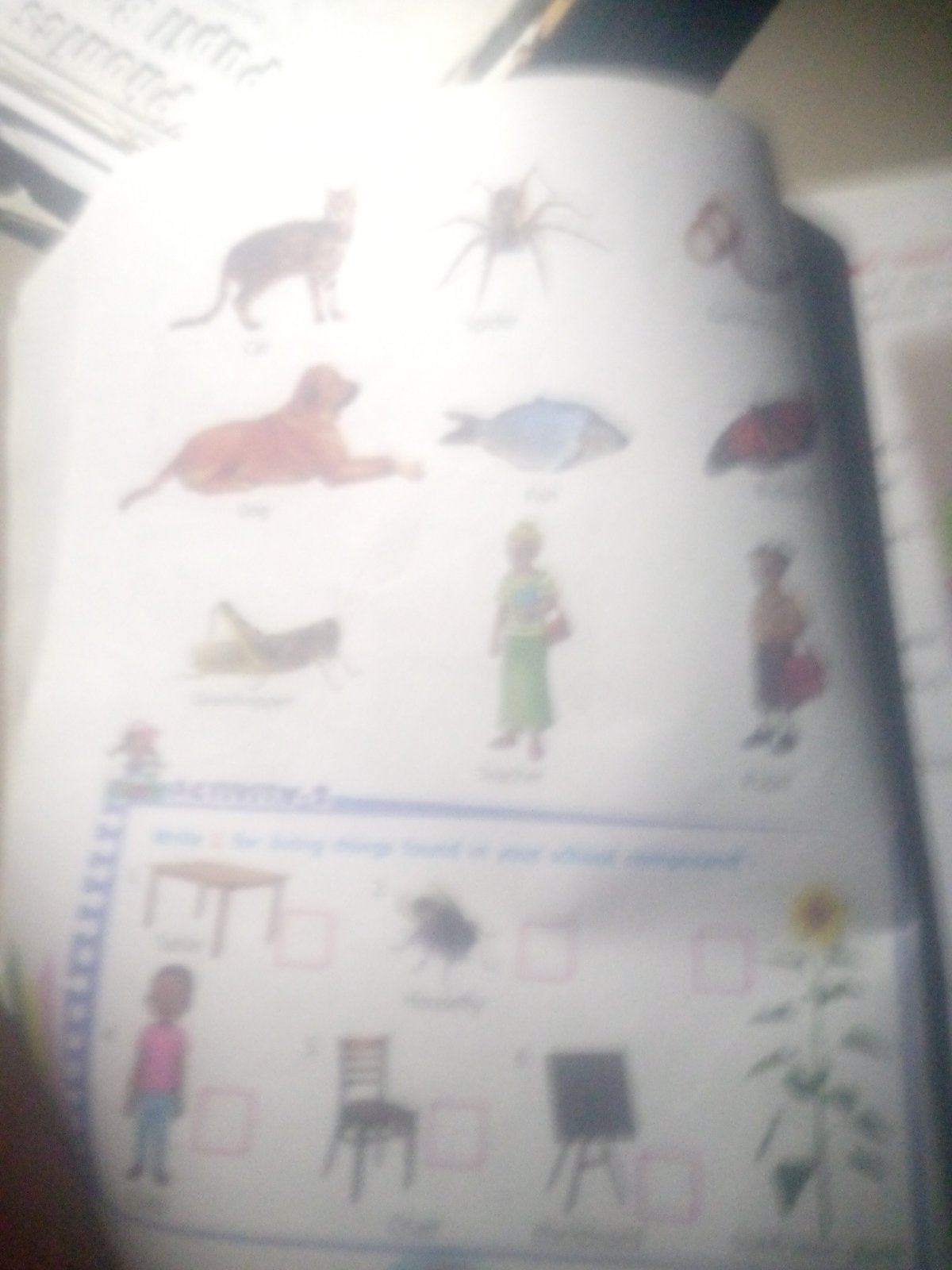 Flipping through a children's educational workbook, page by page