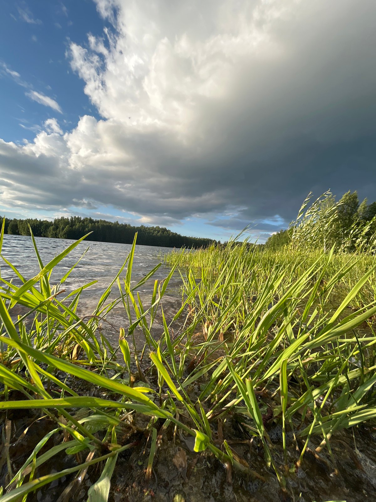 Lakeside photo session documented in Chernushka, Russia