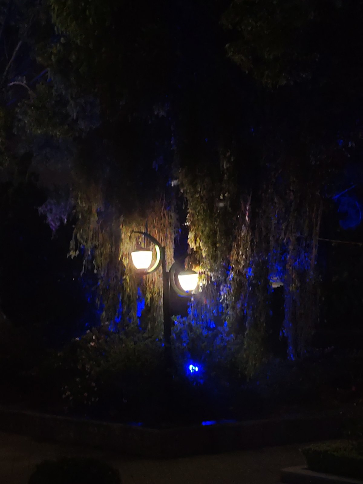 Evening life unfolds across Da Lat's illuminated streets and parks