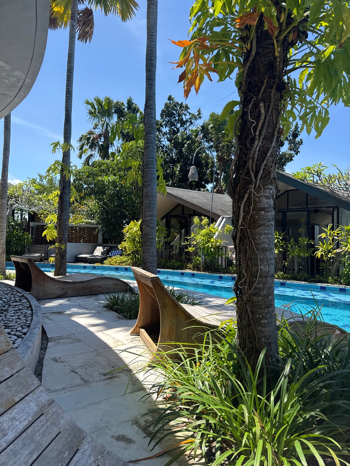 Tropical poolside morning captured in Indonesia