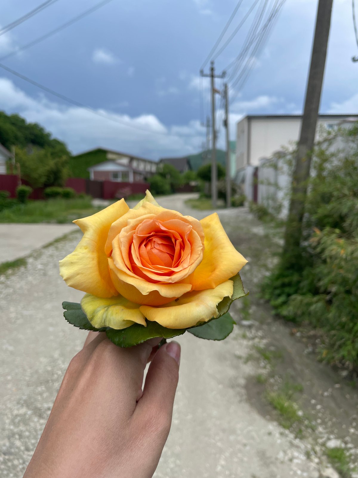 Village life documented in Olginka, Russia through everyday moments