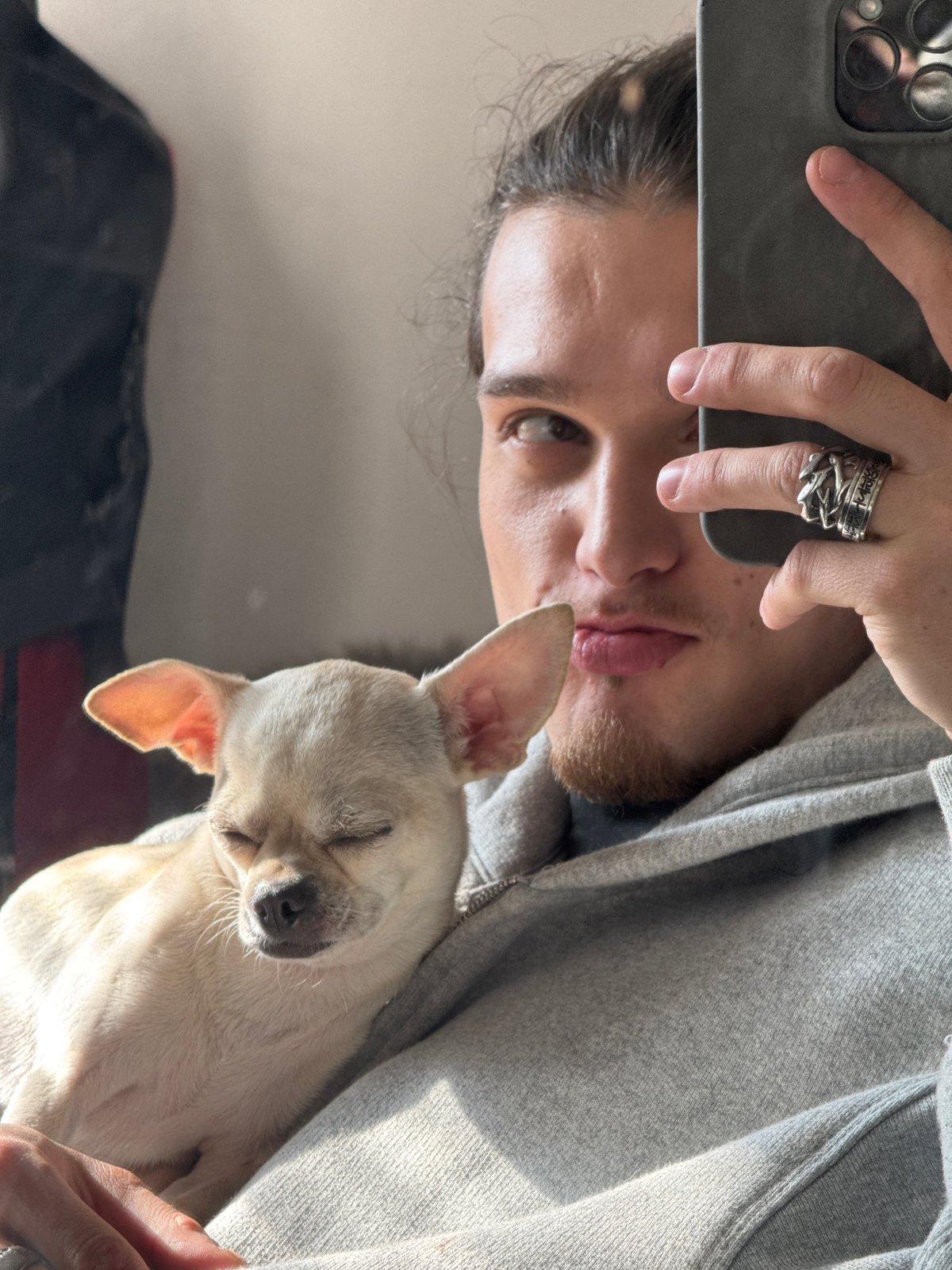 Person takes selfies with sleeping chihuahua in Sofia