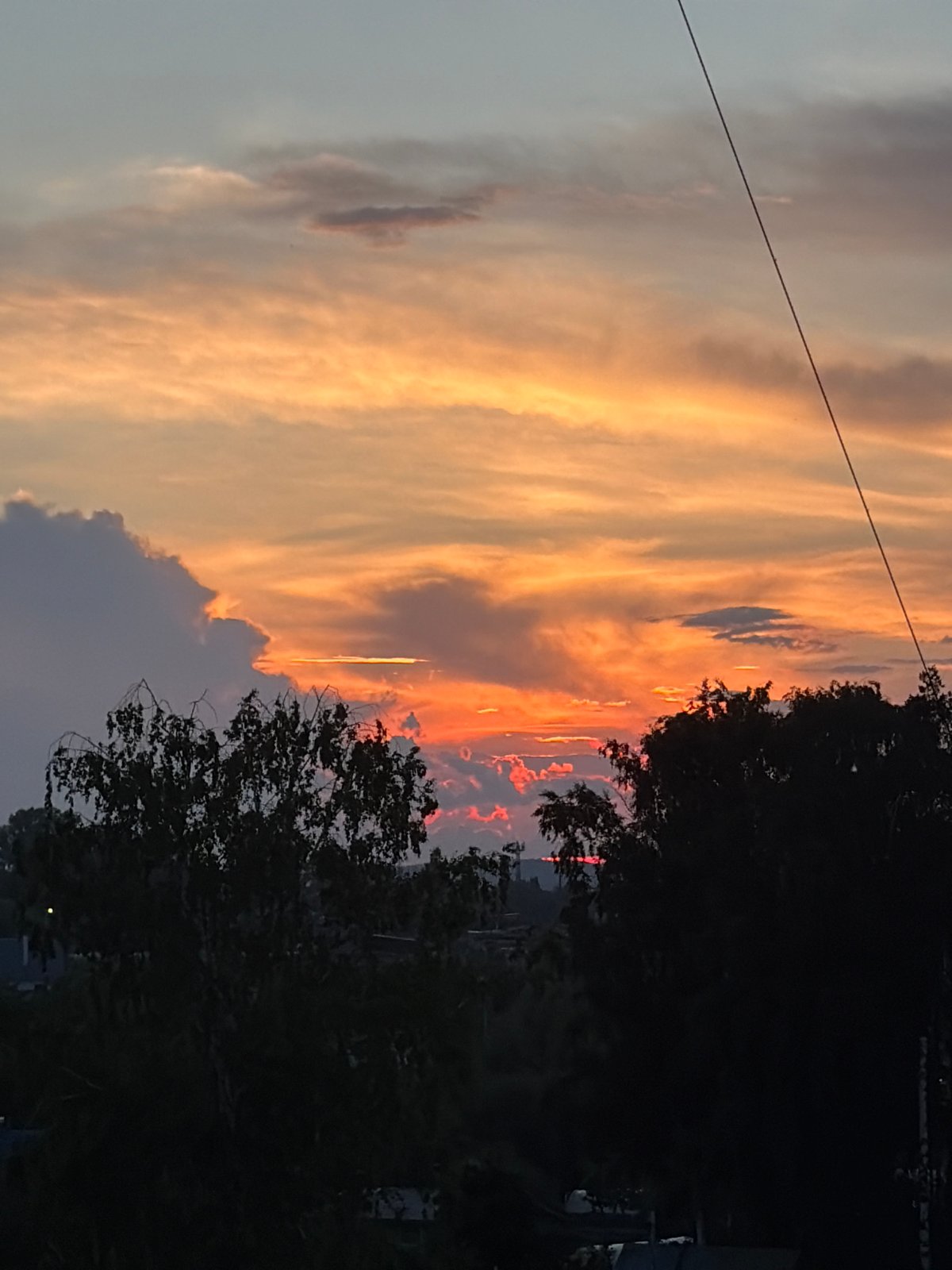 Evening scenes around Chaikovsky: sunsets, flowers, cats, forest walks