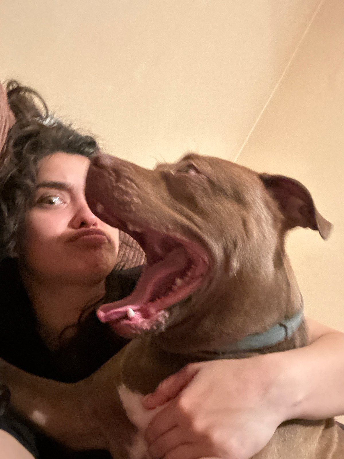 Woman takes playful selfies with pit bull on couch