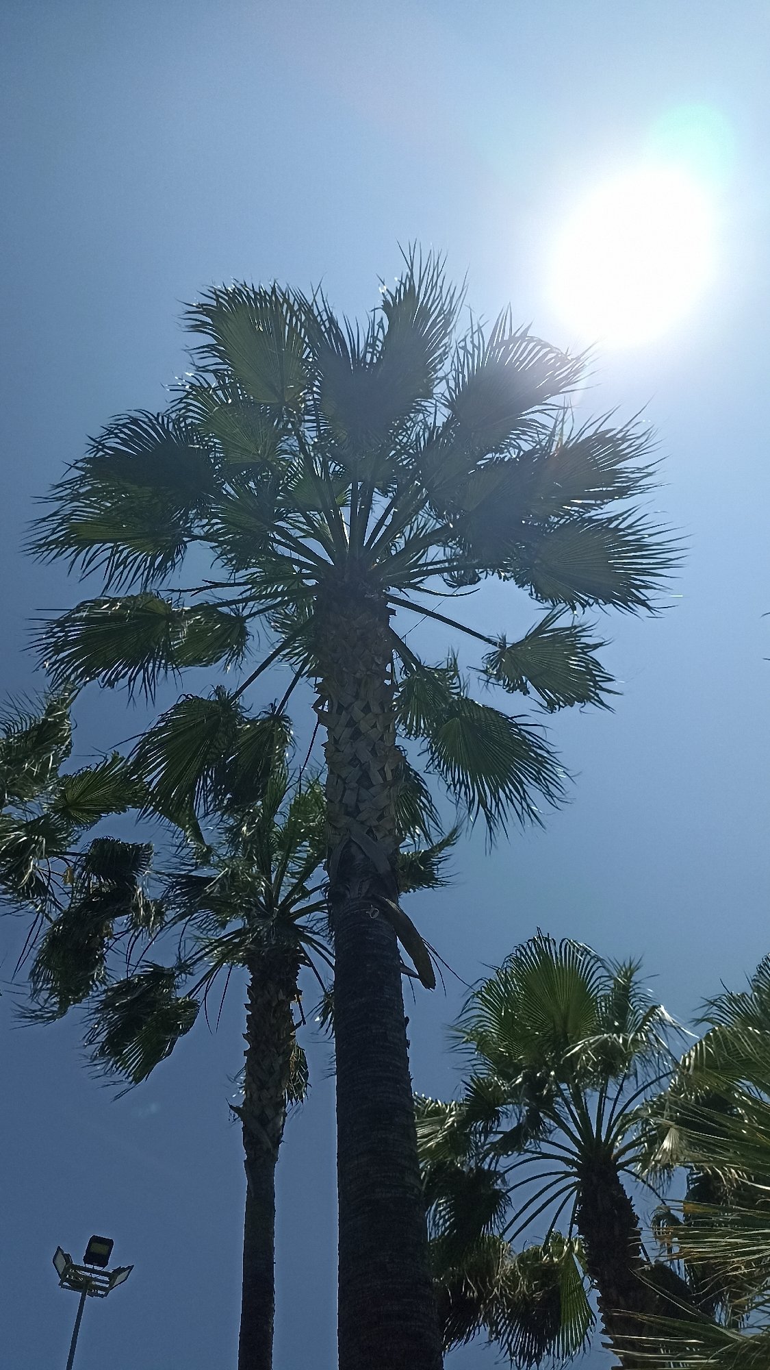 Sunny morning scenes documented in Yenişehir, Turkey
