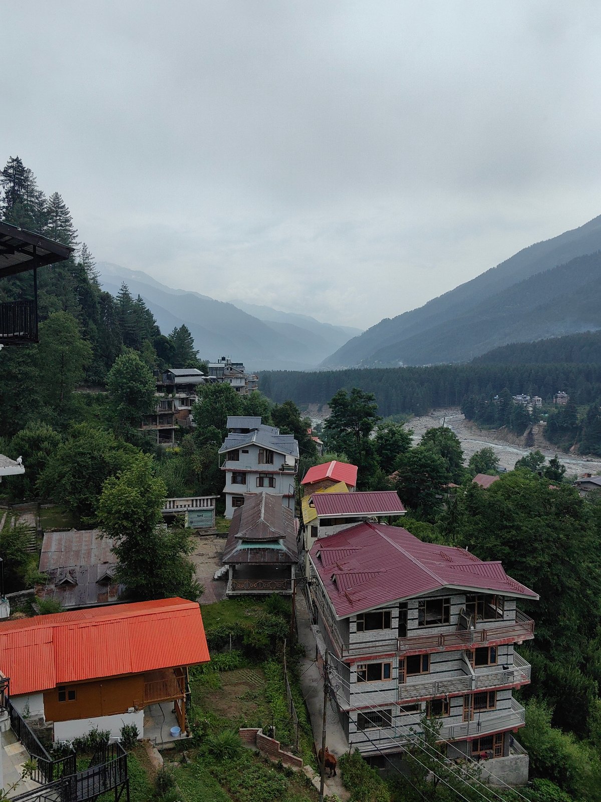 Morning scenes from Vashisht's hillside village life