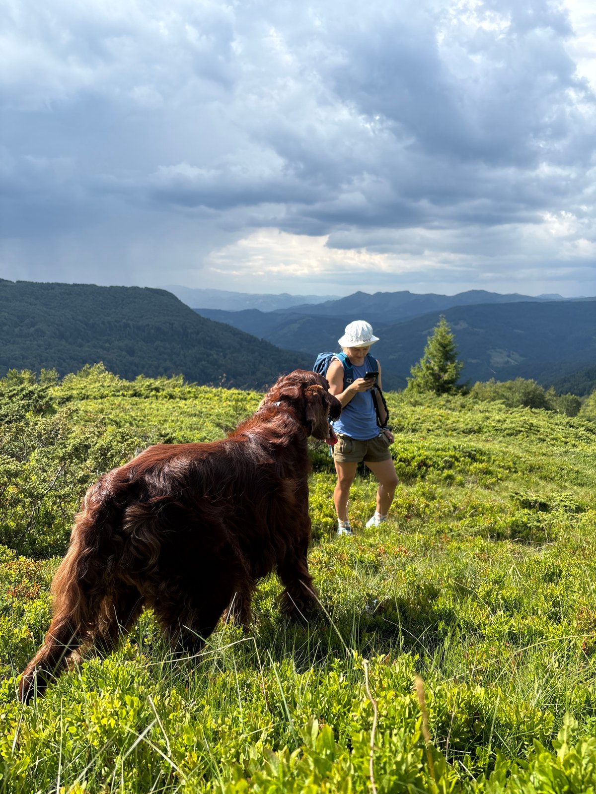 Hiking with dogs through Montenegro's highland trails